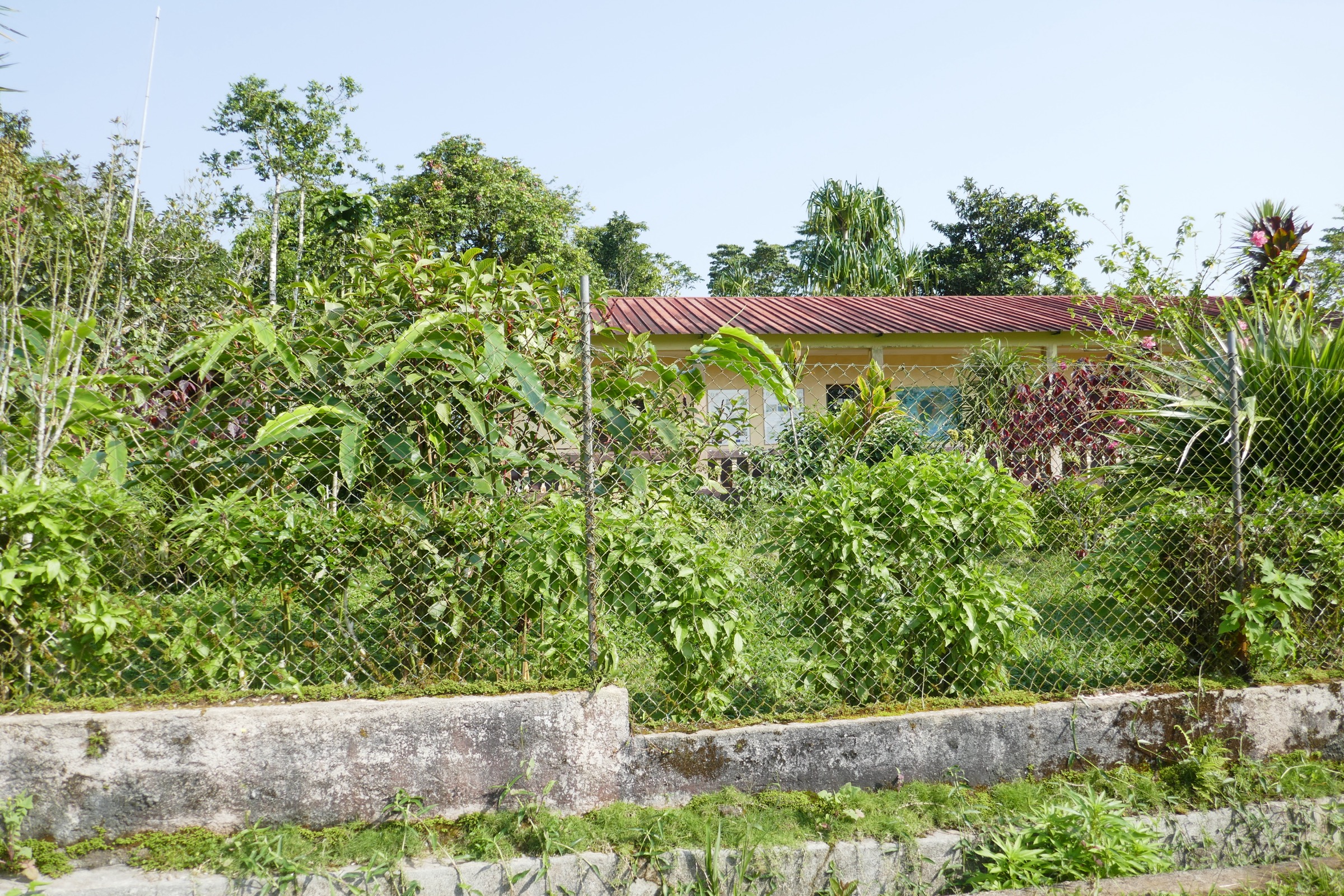 Jardin botanique et siège du parc de Bom Sucesso dans les hautes terres centrales de São Tomé