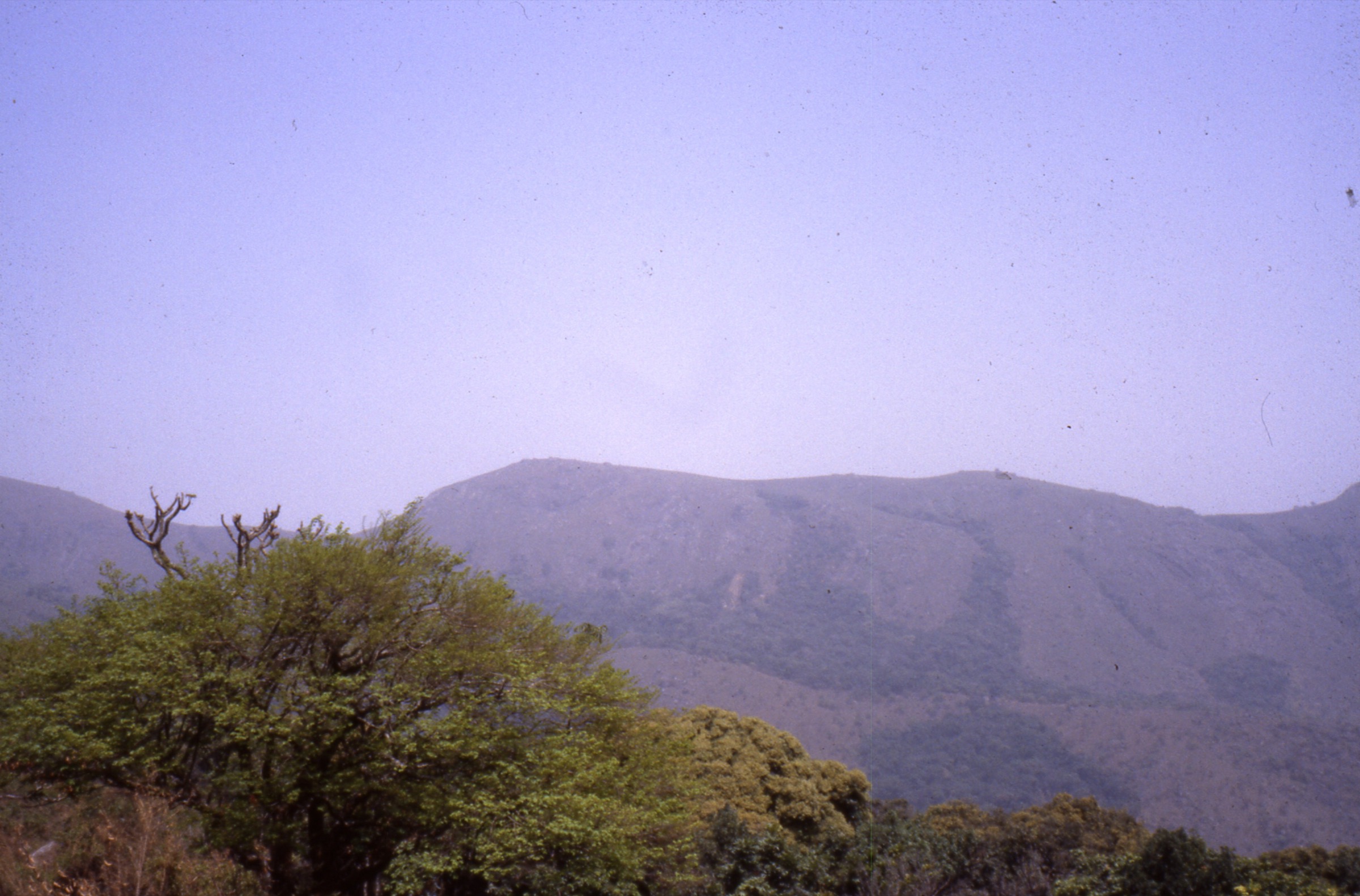 Hikers climbing through montane grassland on Mount Bintumani in Sierra Leone