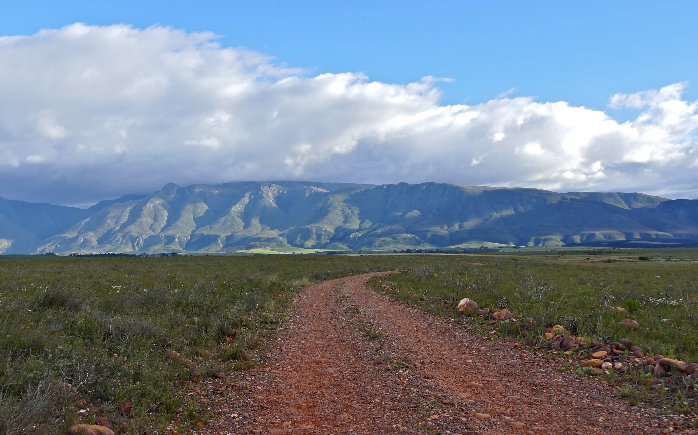 South Africa — Cape Fold Belt: Langeberg