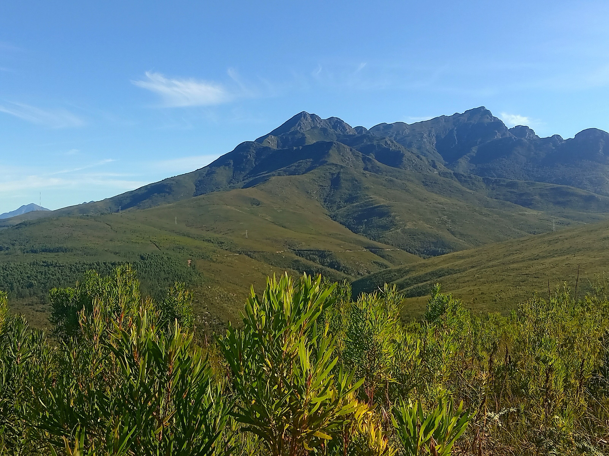 George Peak et Cradock Peak vus depuis Tierkop, monts Outeniqua
