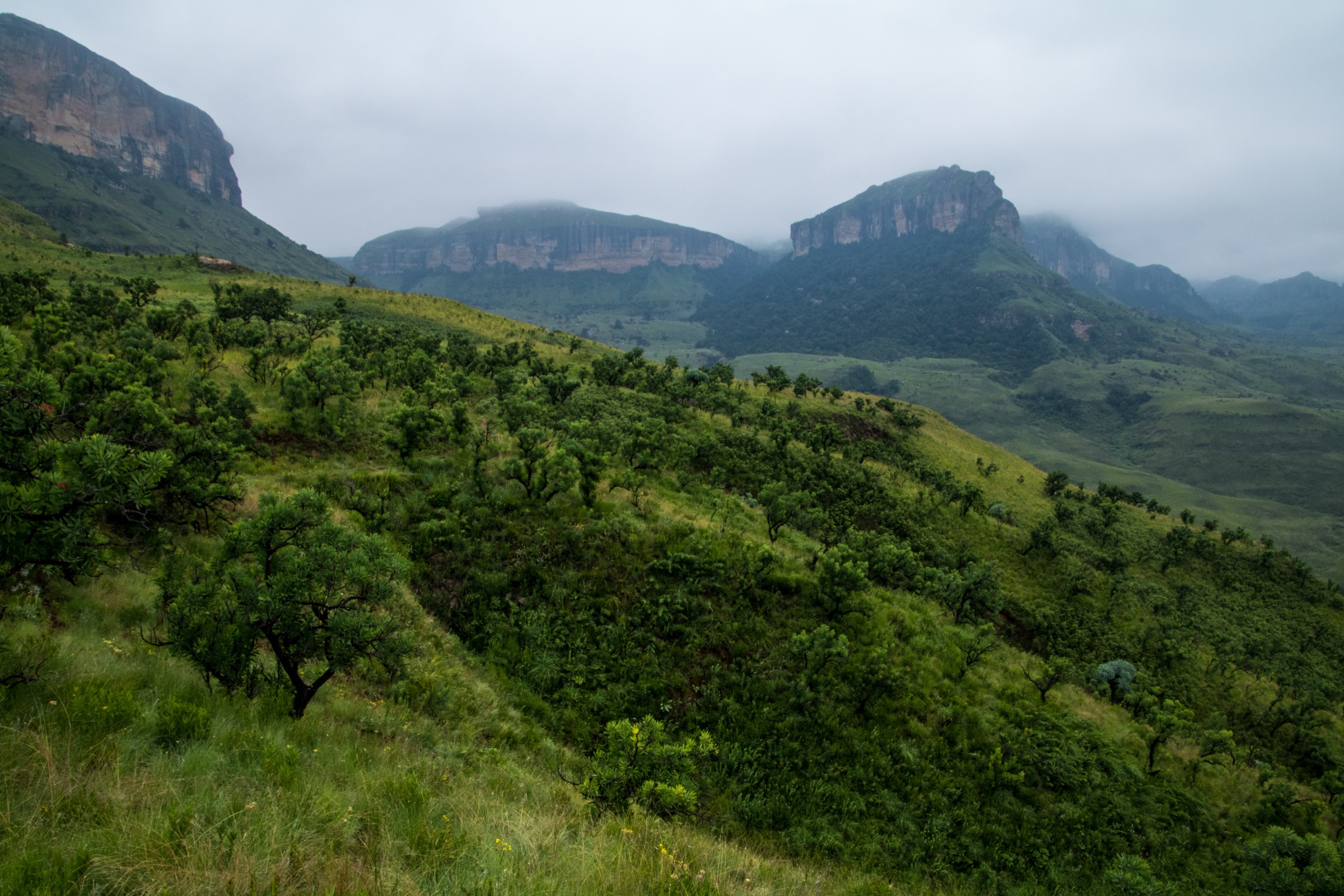 Montagnes au Royal Natal National Park