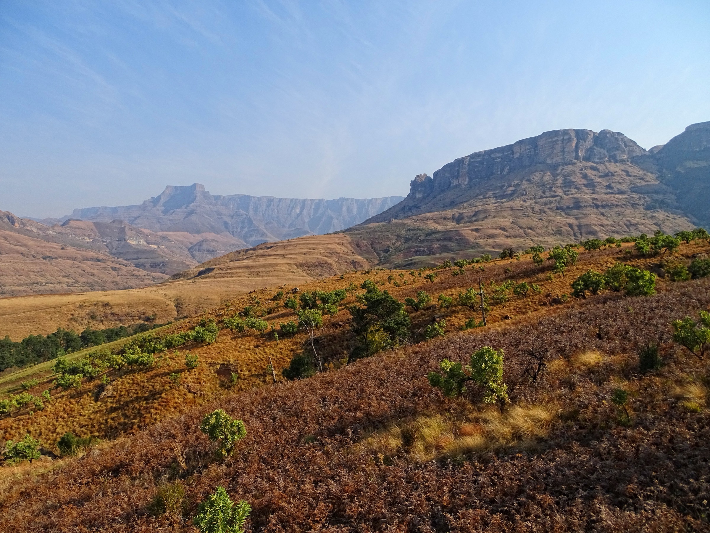 Paysage du Drakensberg à Royal Natal