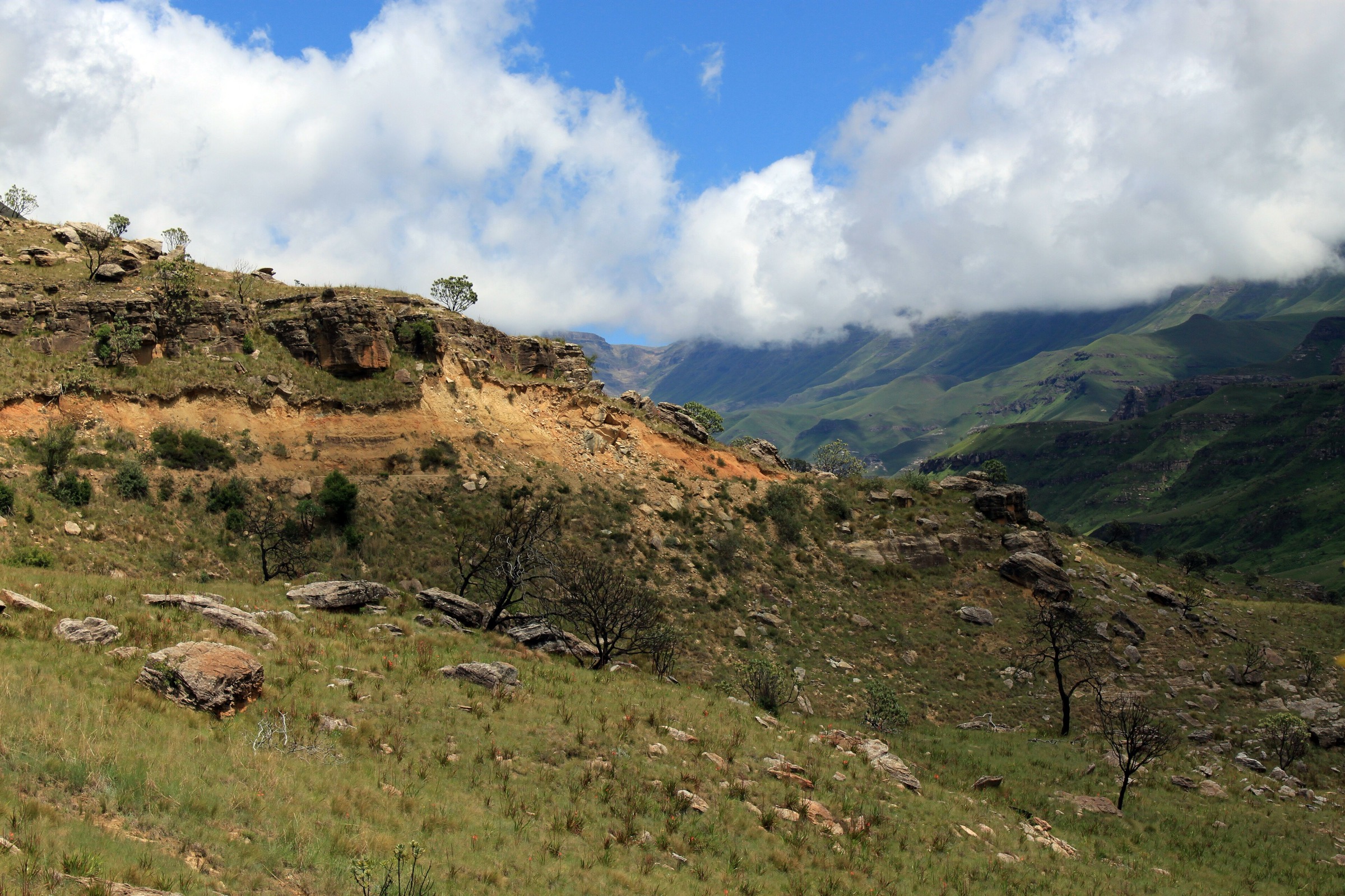 Vue le long du Sani Pass descendant l'escarpement du Drakensberg