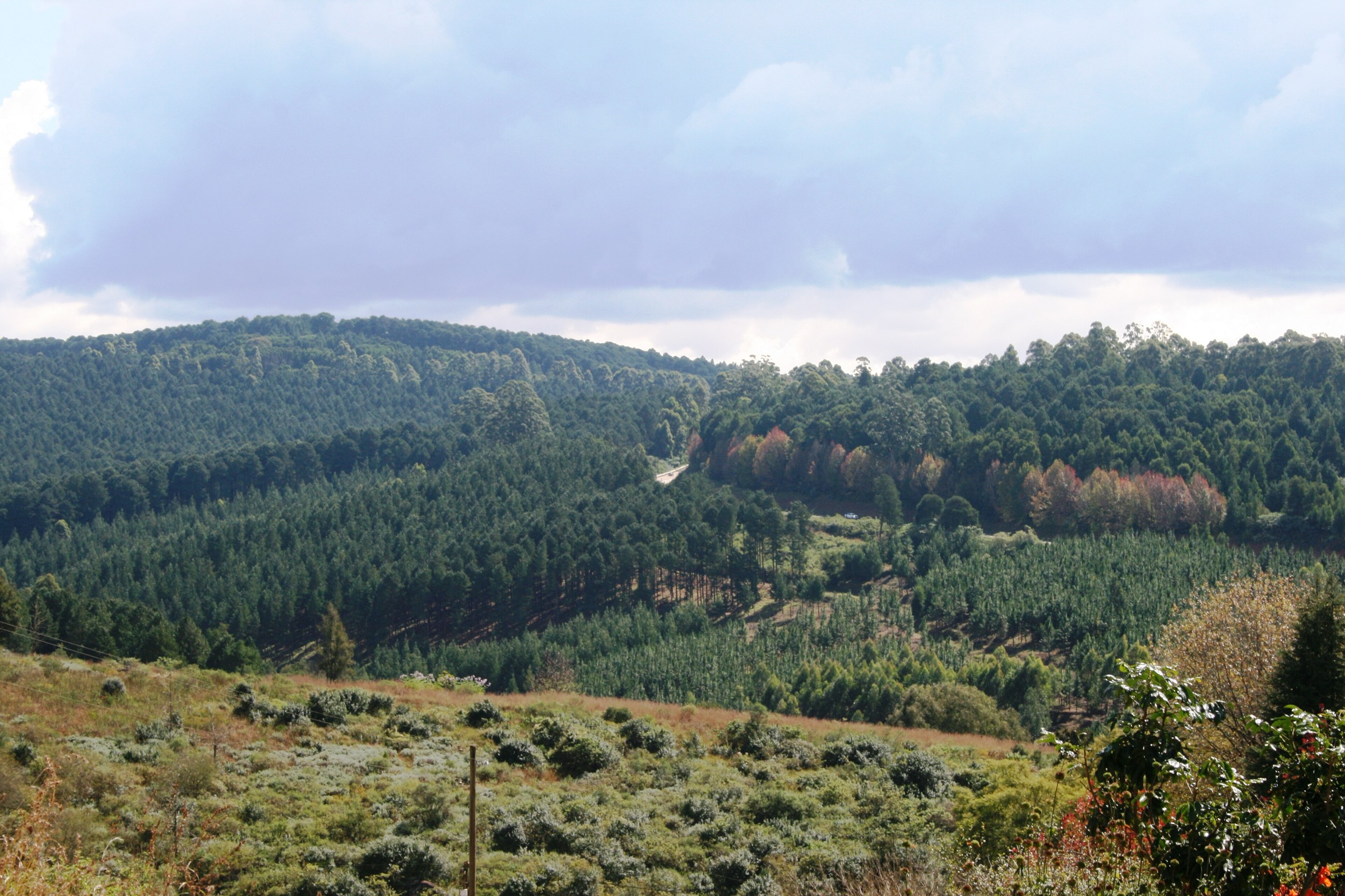 South Africa — Limpopo Escarpment: Essential Day-Hikes
