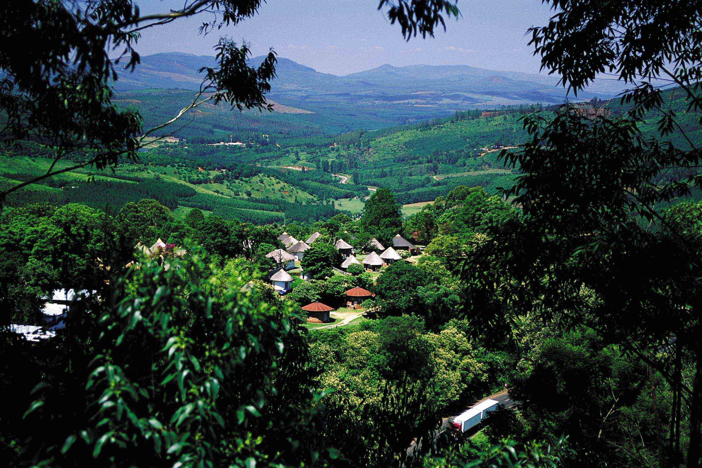 Rolling mistbelt hills of Magoebaskloof in the Limpopo Escarpment