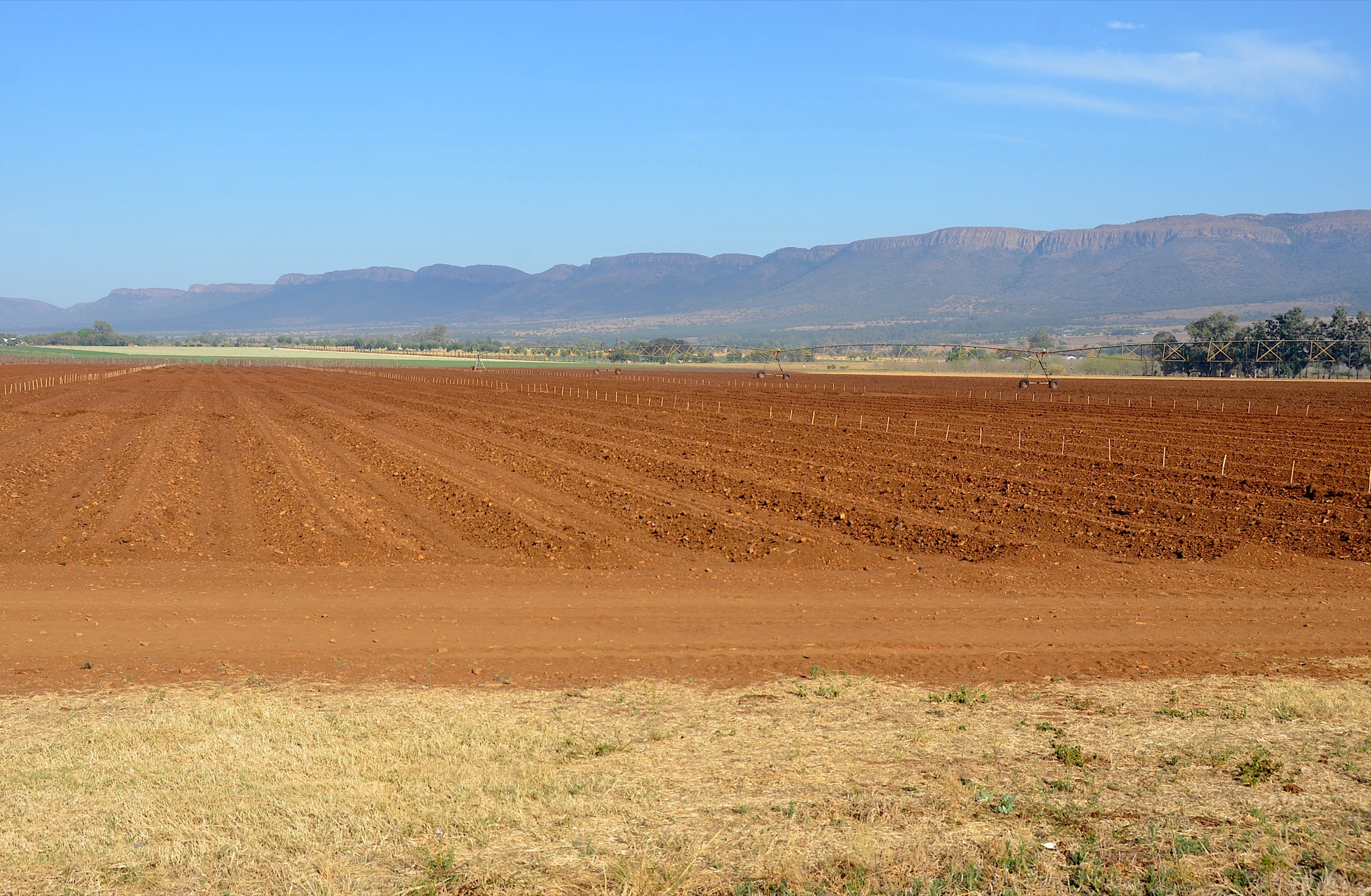 Afrique du Sud — Magaliesberg : randonnées à la journée essentielles