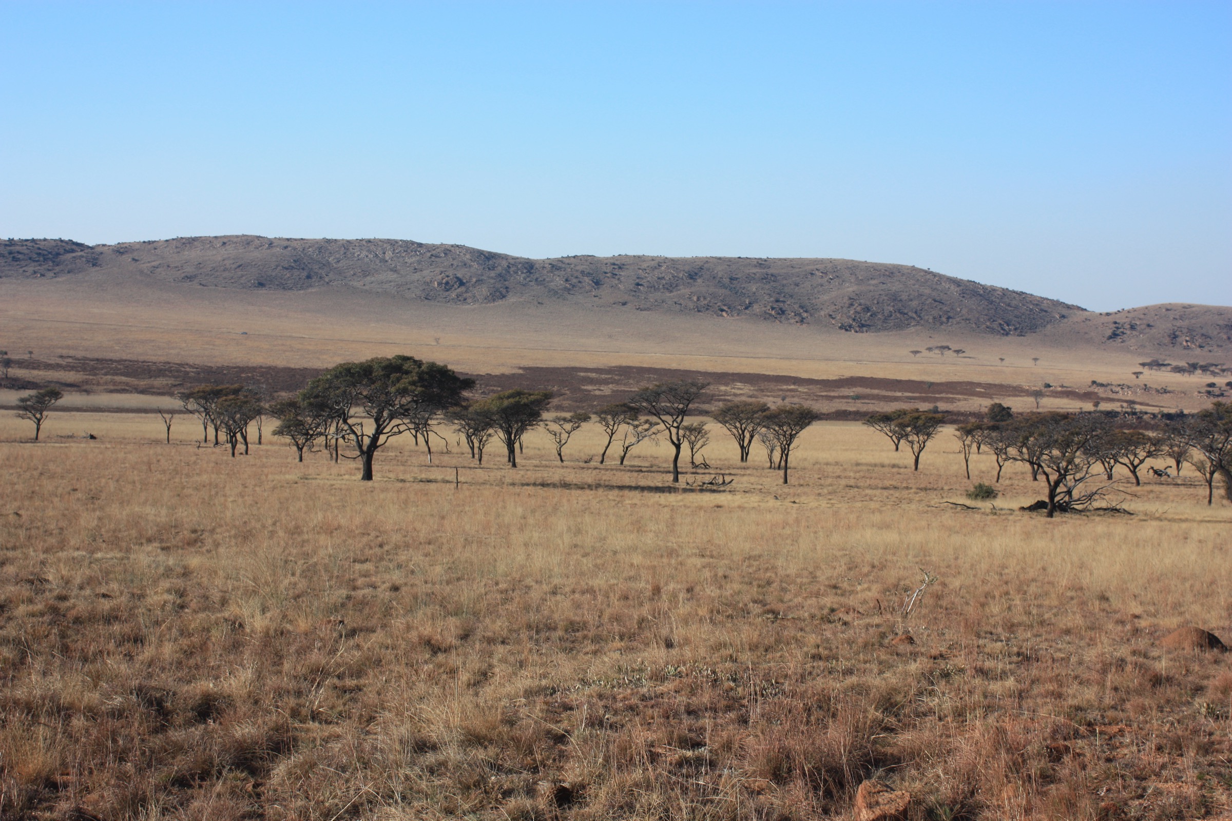 Kgaswane Mountain Reserve, Rustenburg