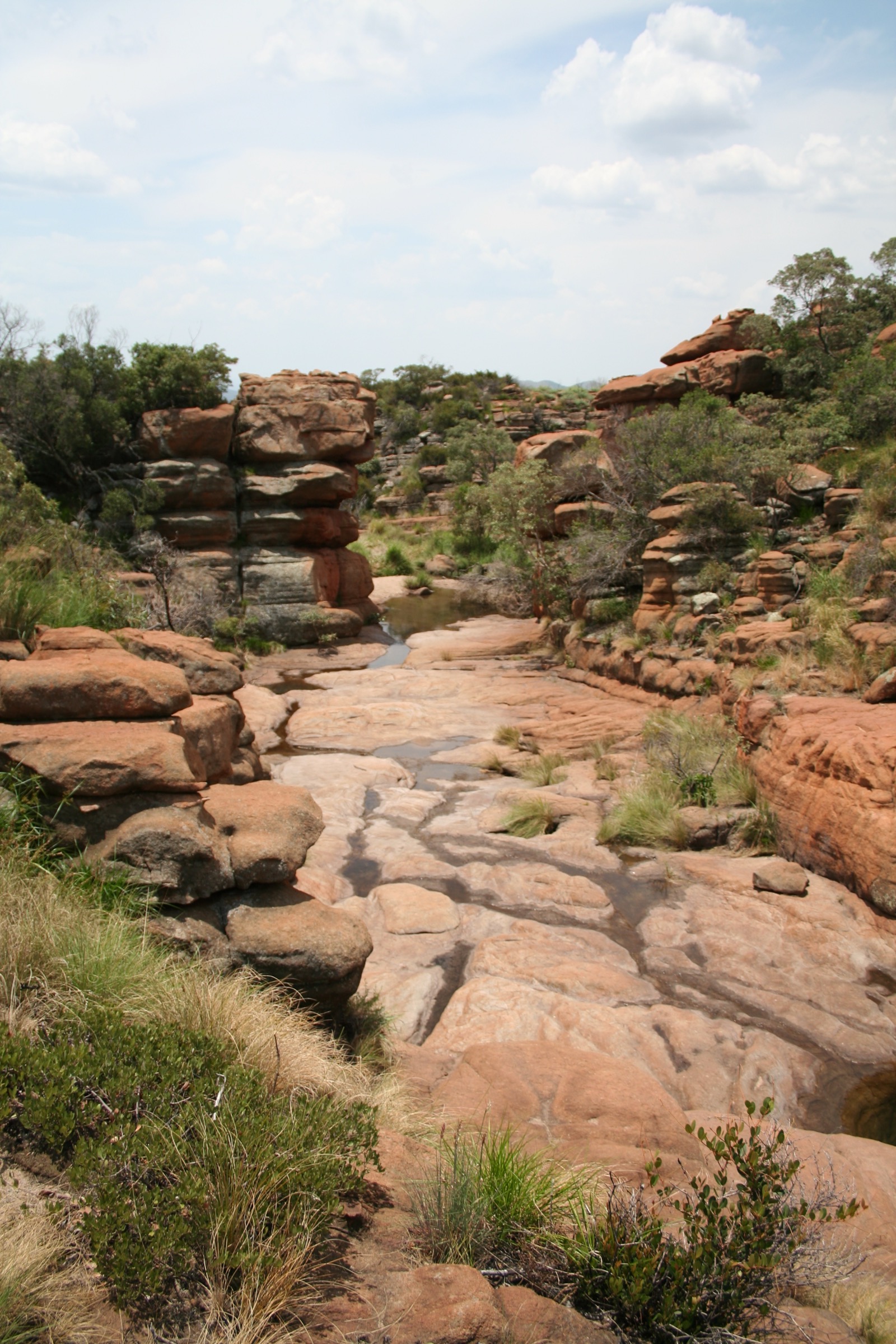Mountain Sanctuary Park, Magaliesberg