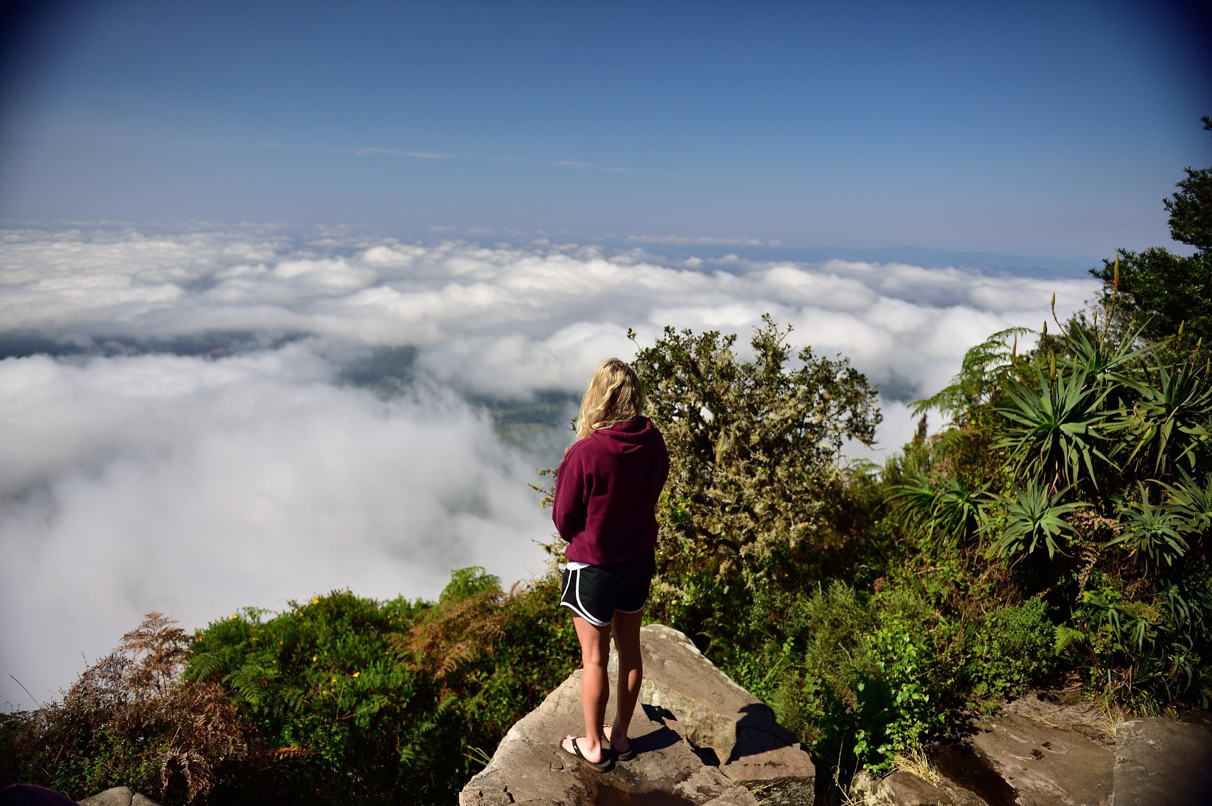 View from God's Window over the Lowveld escarpment