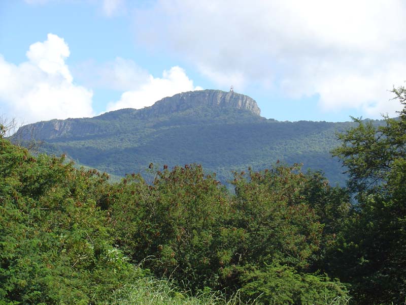Repère du Hanglip, Soutpansberg central