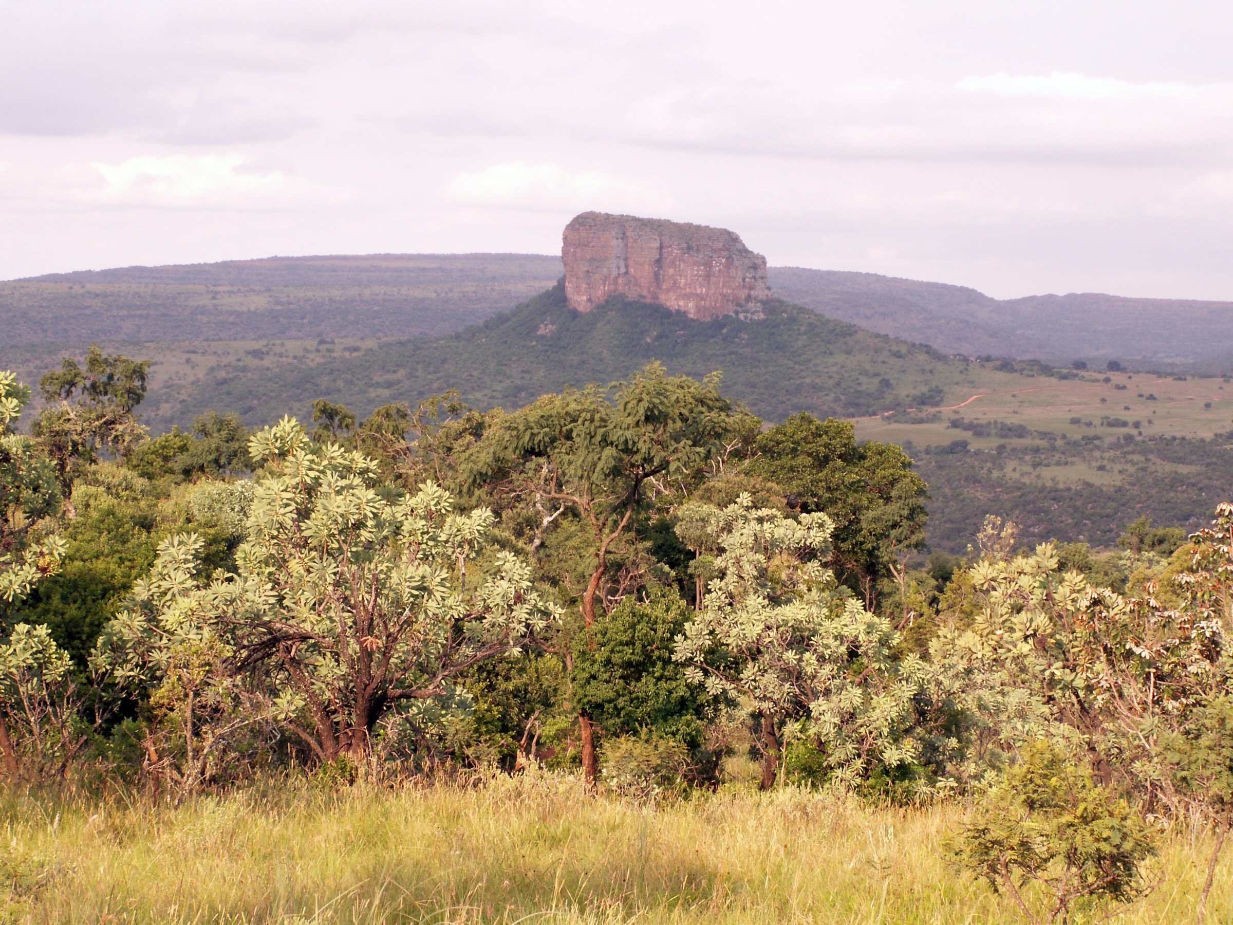 Paysage du Waterberg, Limpopo