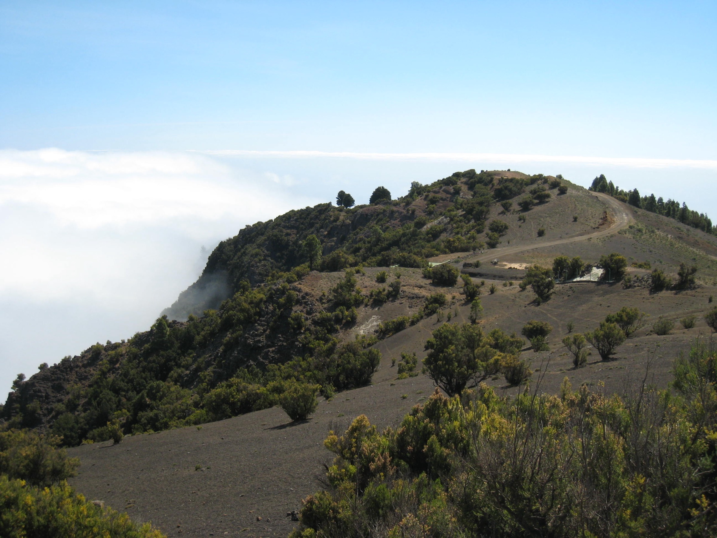Zone sommitale du Pico de Malpaso, El Hierro