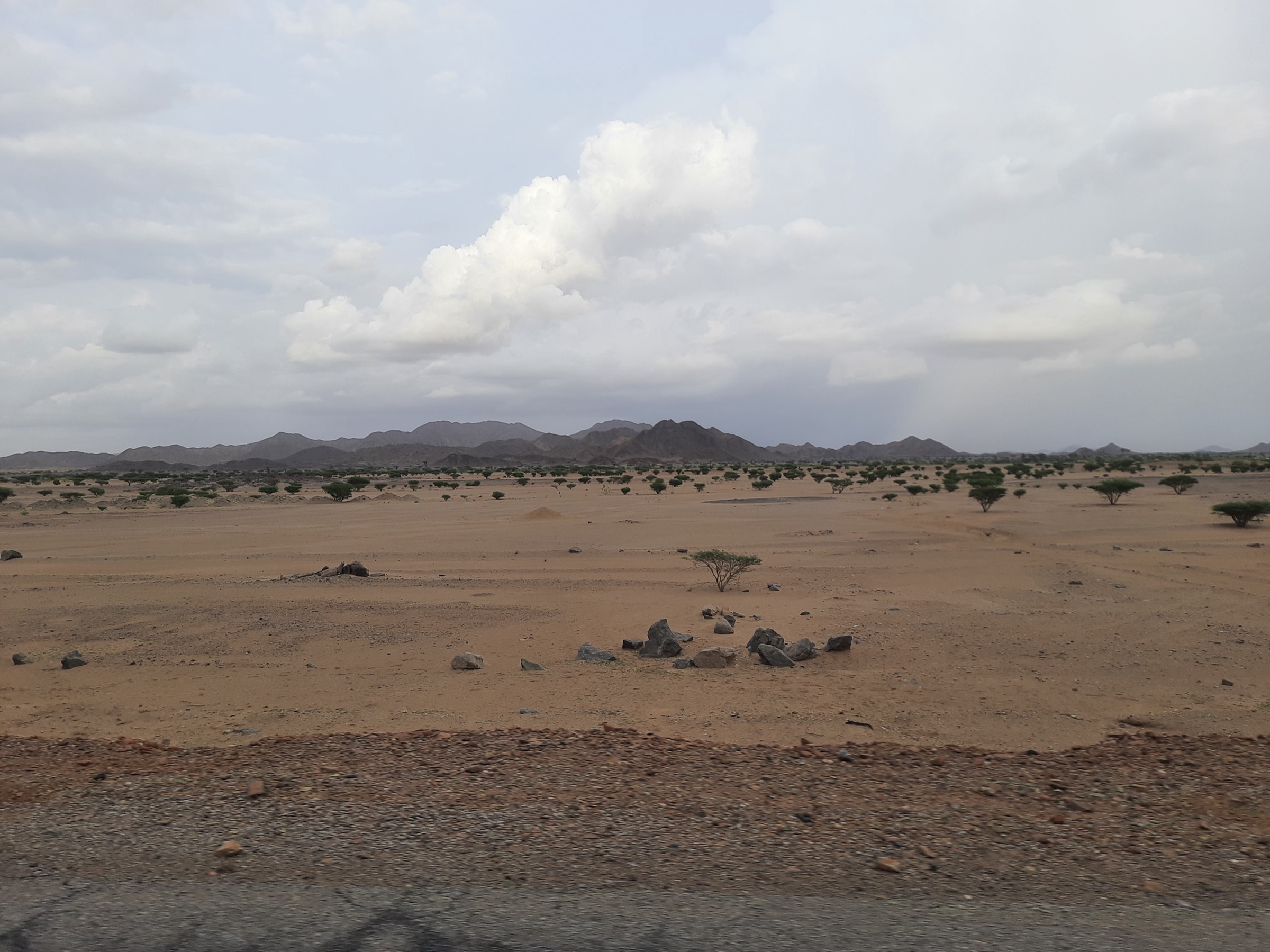 Sudan — Red Sea Hills: Sudanese Red Sea Hills