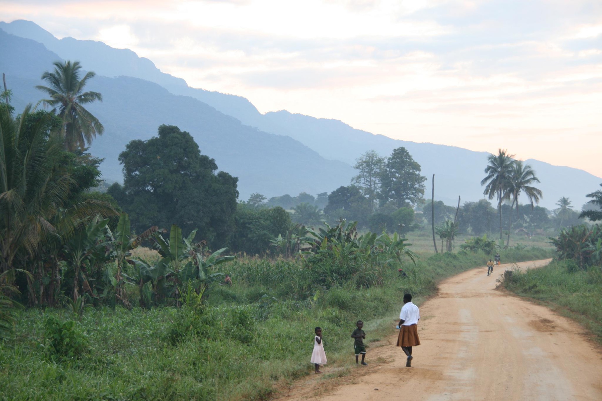 Tanzania — Eastern Arc Mountains: Mahenge Mountains