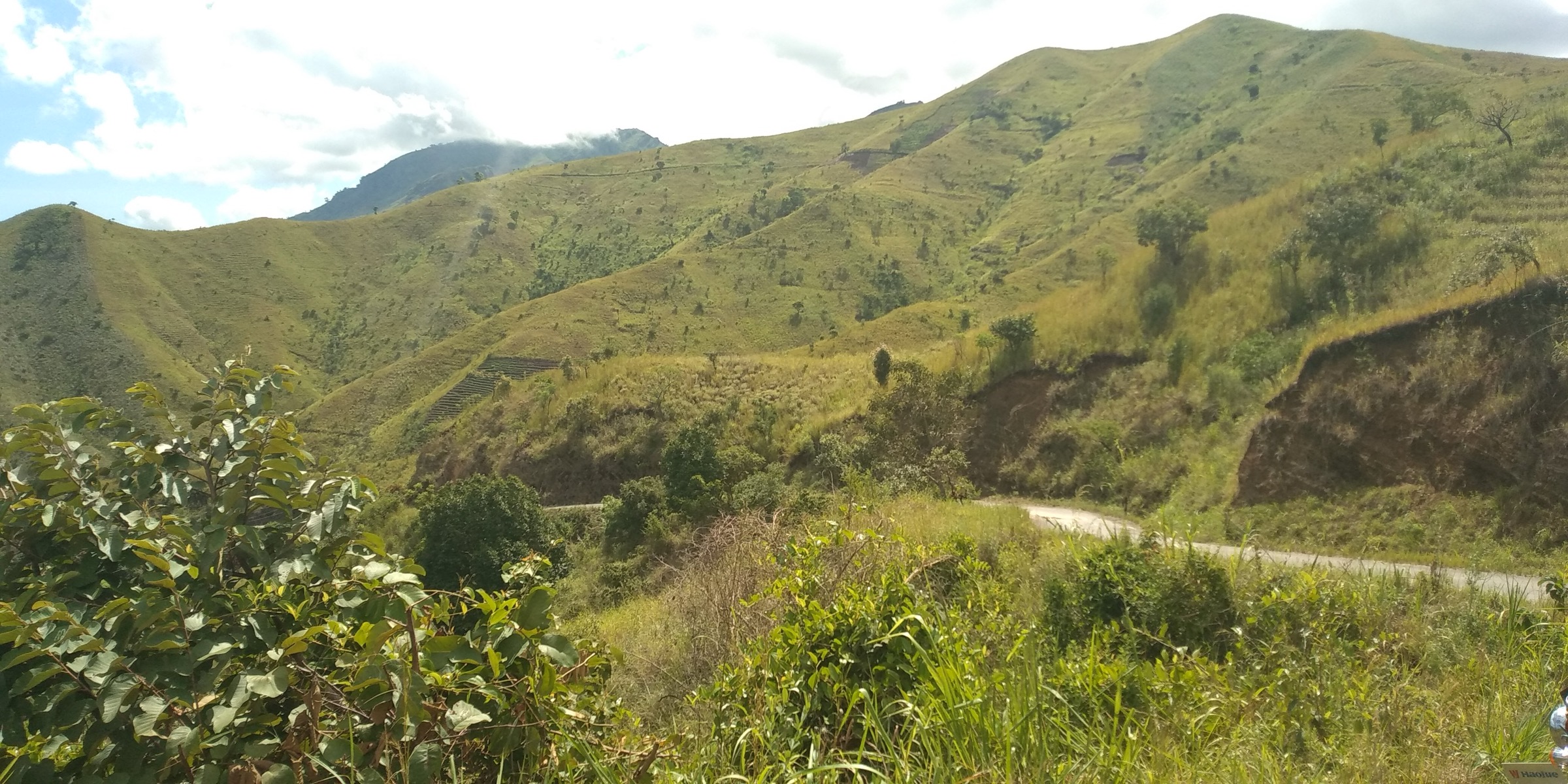 Tanzania — Eastern Arc Mountains: Nguru Mountains