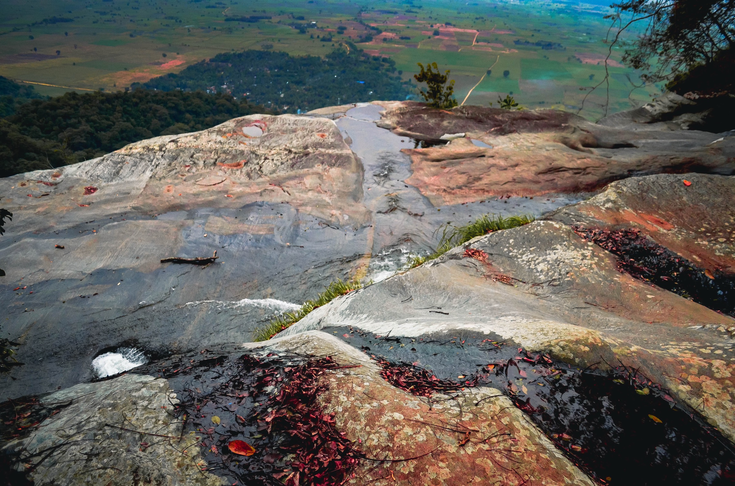 Tanzanie — Chaîne de l'Arc oriental : monts Udzungwa
