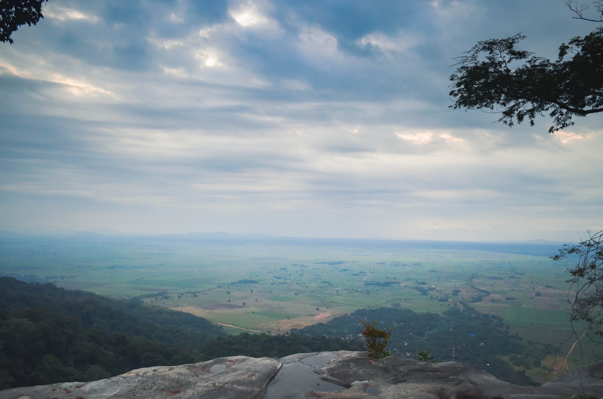Intérieur de la forêt du parc national des monts Udzungwa, Tanzanie