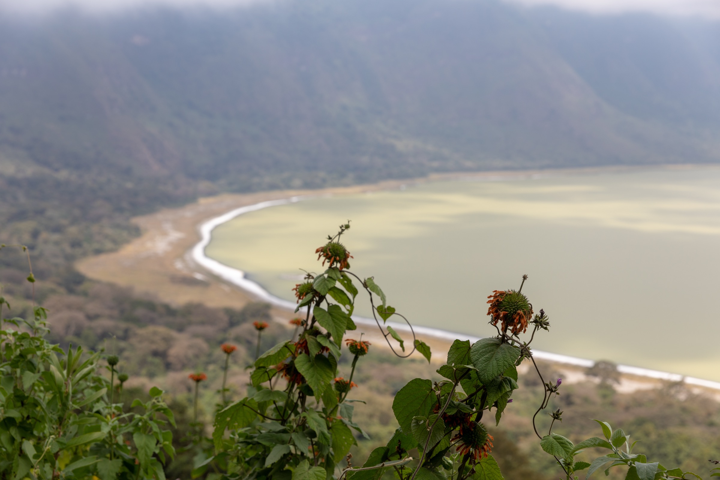 Empakaai Crater with its soda lake on the floor, Ngorongoro Conservation Area, Tanzania