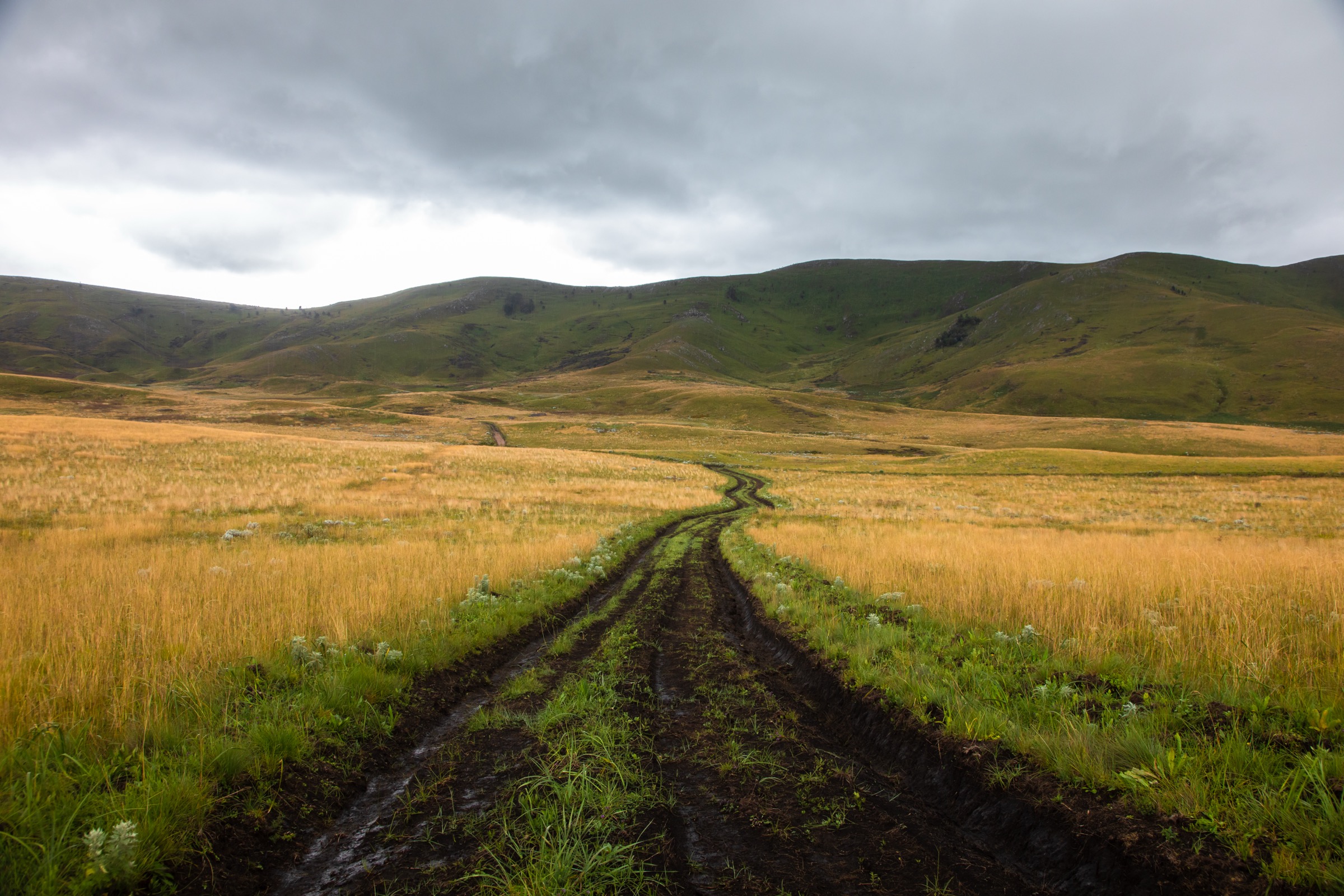 Kitulo Plateau road, montane grassland in the southern highlands east of the Porotos
