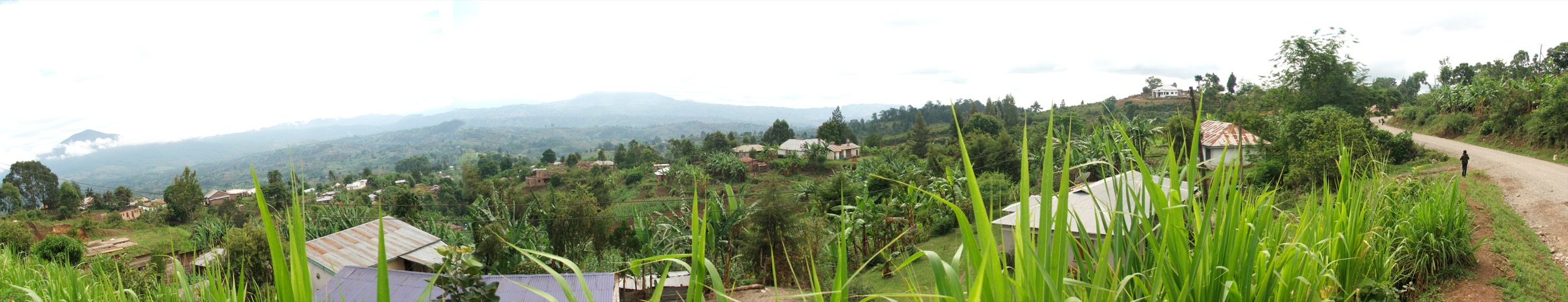 Wide panorama of the Tukuyu / Rungwe volcanic region — regional/representative image