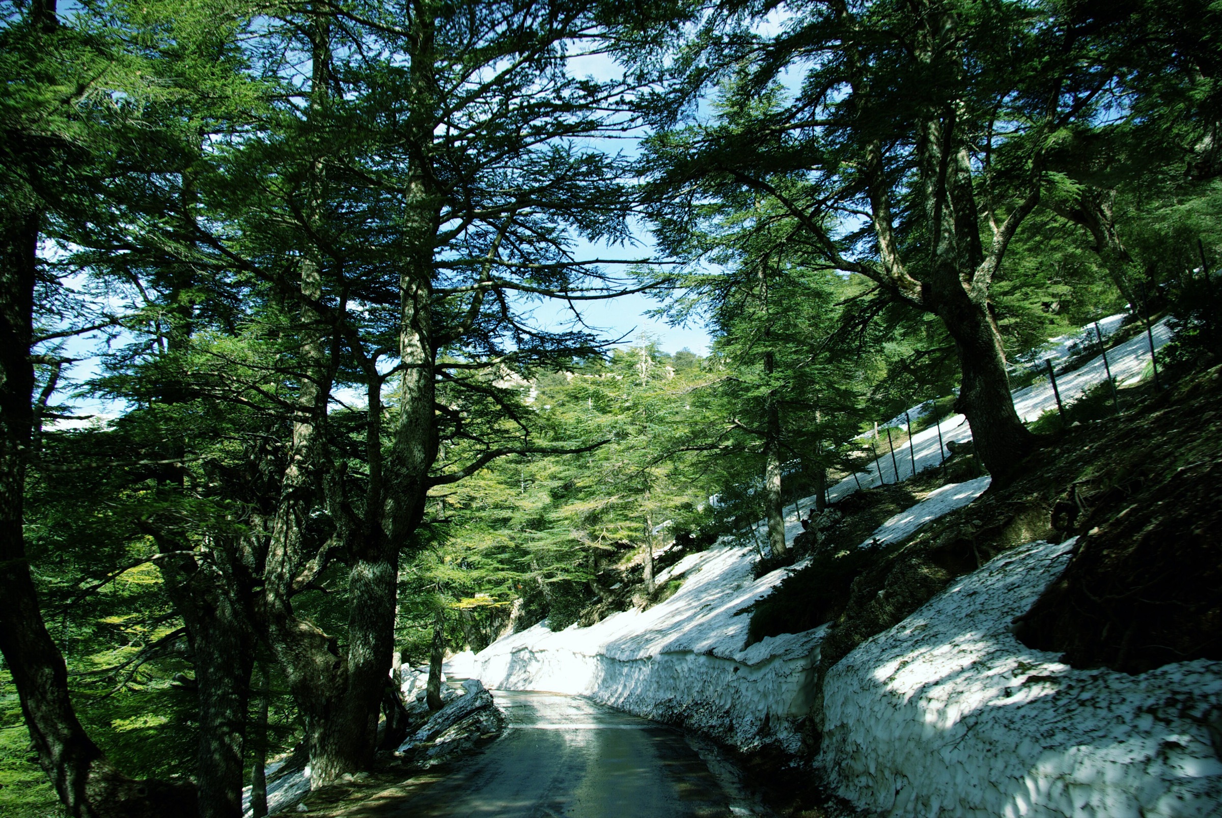 Crêtes calcaires et terrain de montagne dans la région de Tikjda, parc national du Djurdjura, Algérie
