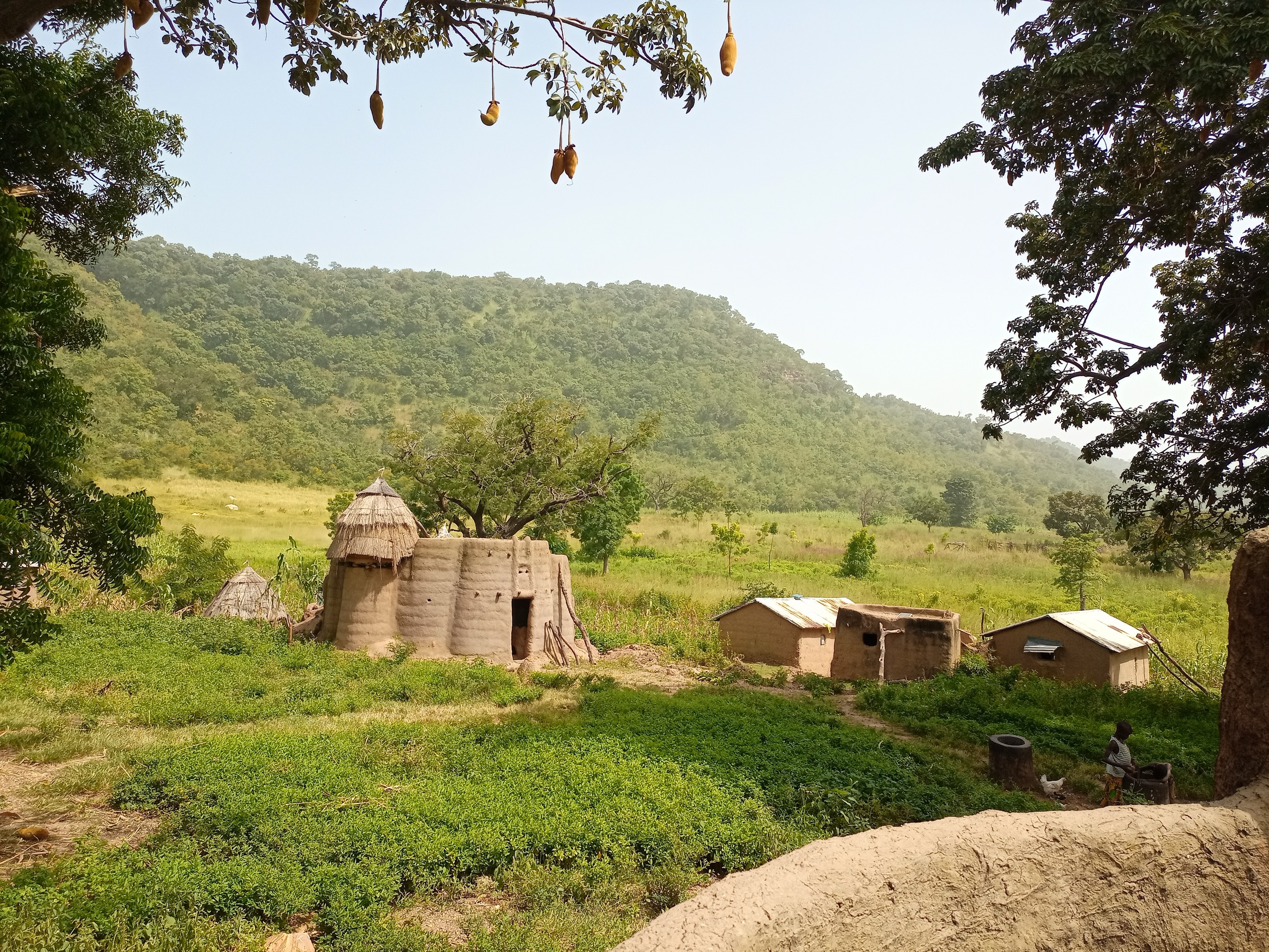 Paysage de savane de l'Atakora autour des habitations Tata Somba, Togo