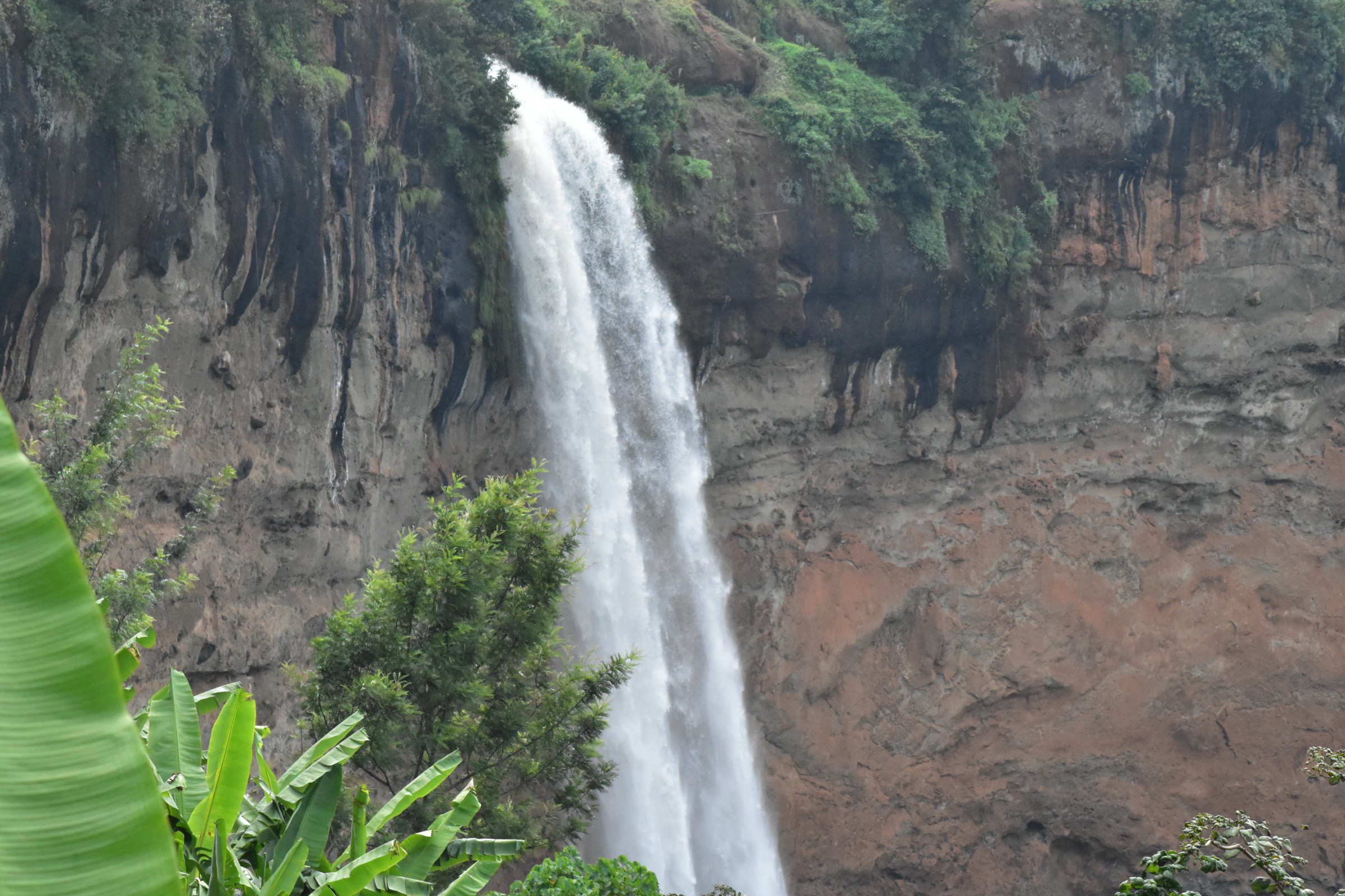 Uganda & Kenya — Mount Elgon