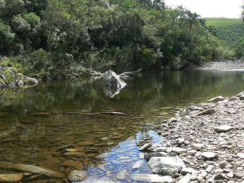 Arroyo Yerbal Chico in Quebrada de los Cuervos