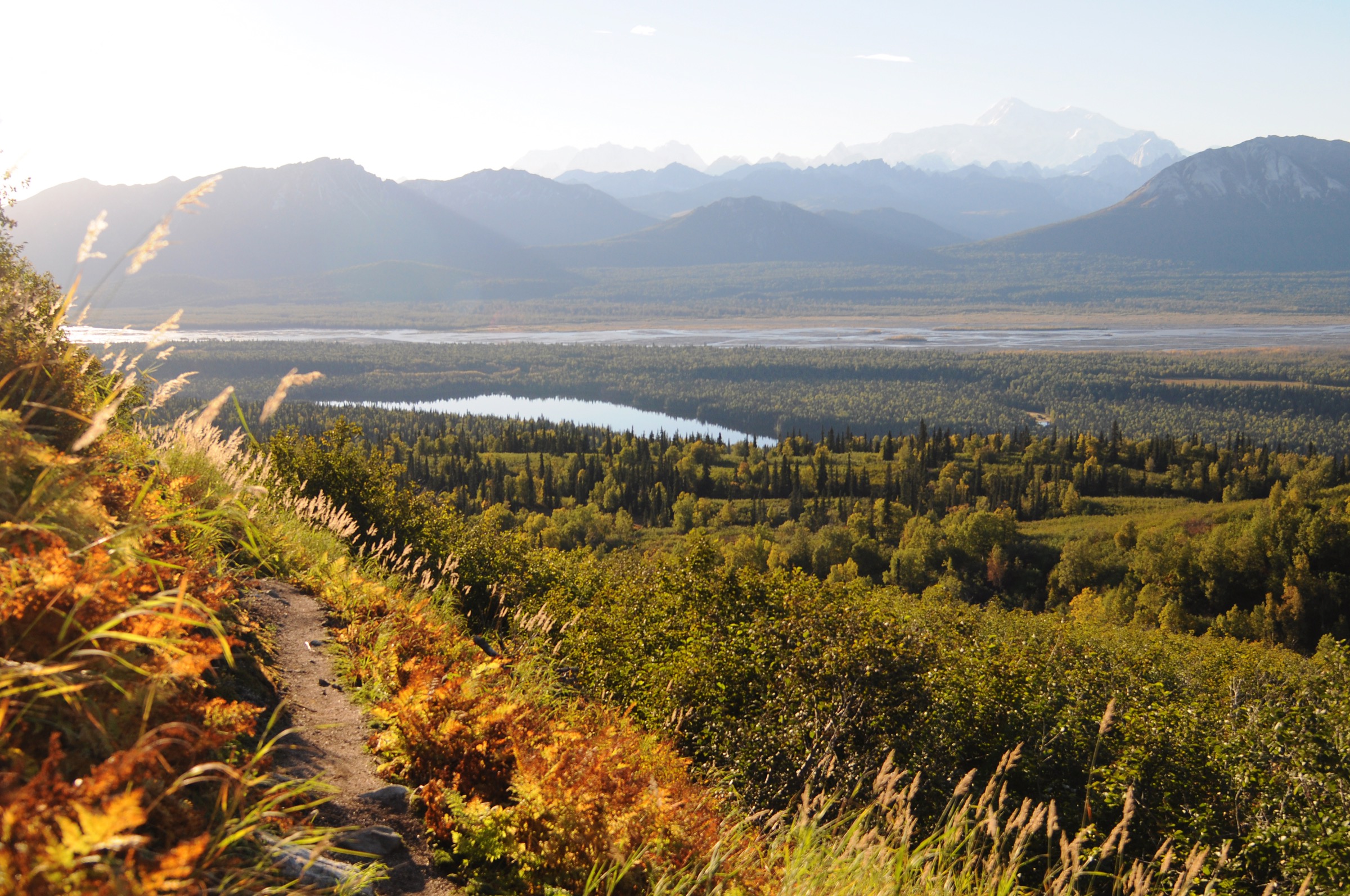 Cascade Trail au-dessus de Byers Lake dans le Denali State Park, Alaska
