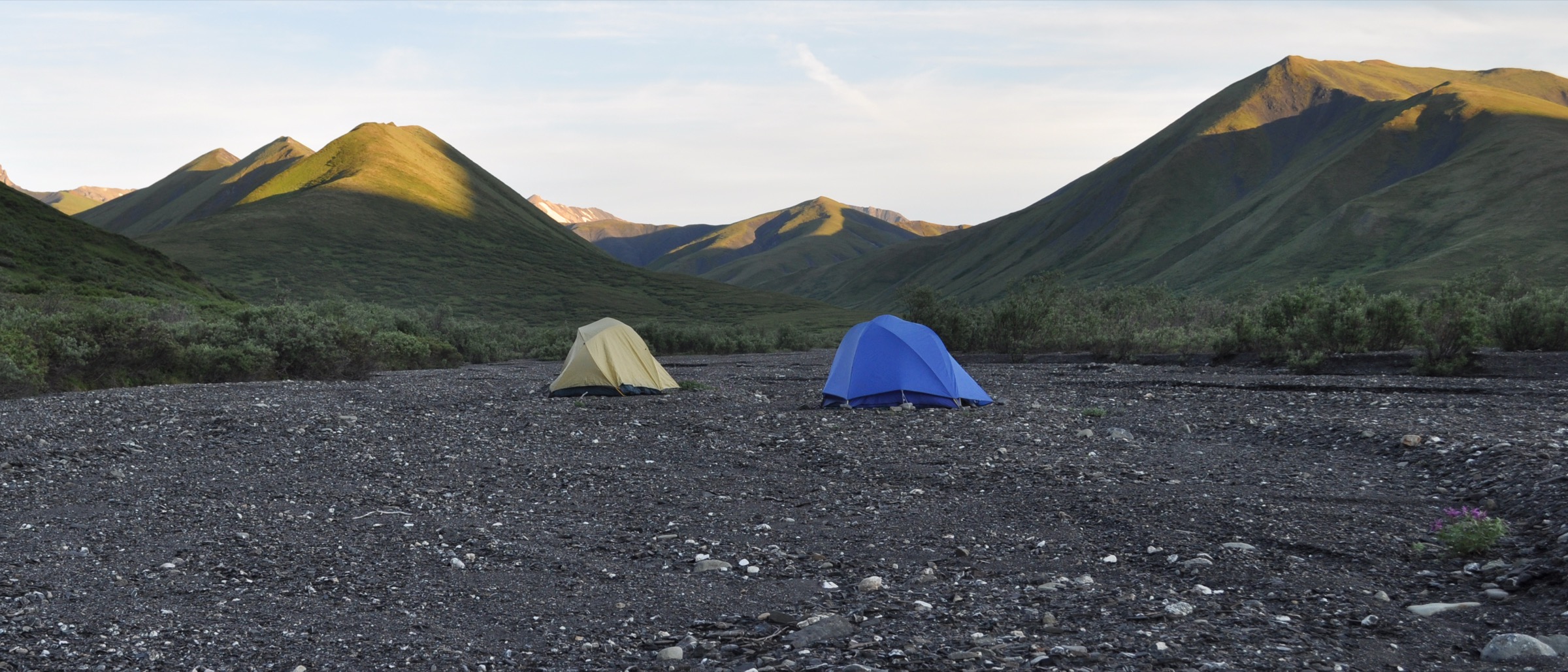 Vallée de la Savage River dans le parc national du Denali