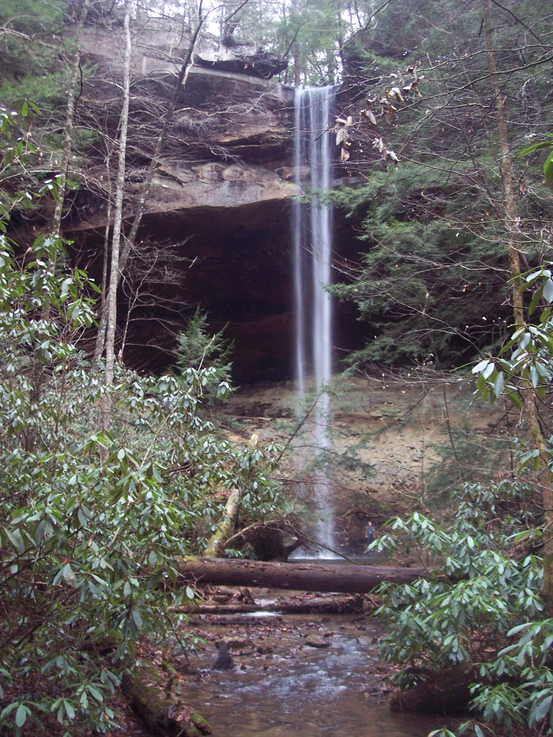Yahoo Falls, la plus haute cascade du Kentucky, Big South Fork National River and Recreation Area