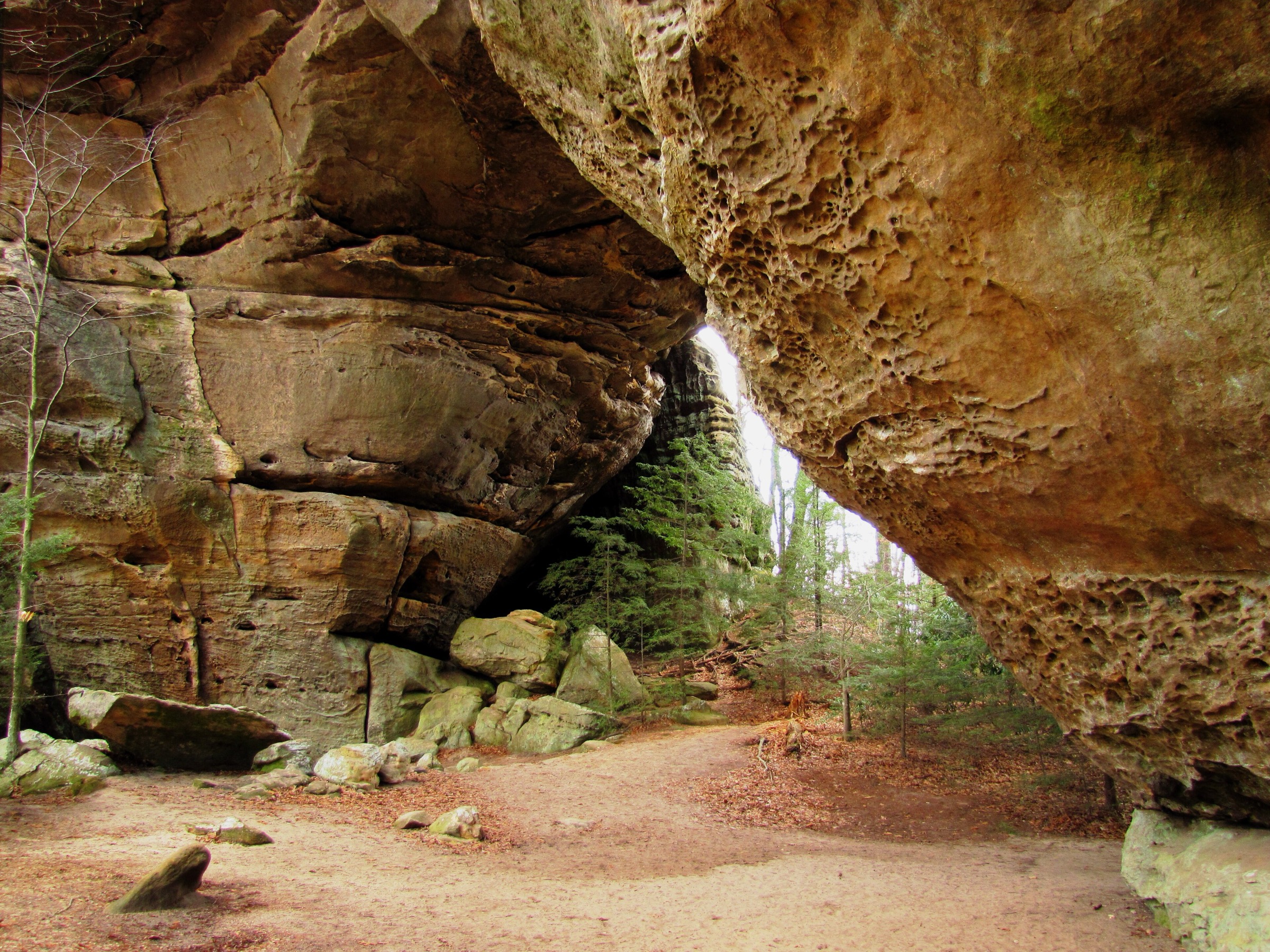 L'arche sud des Twin Arches dans le Big South Fork National River and Recreation Area