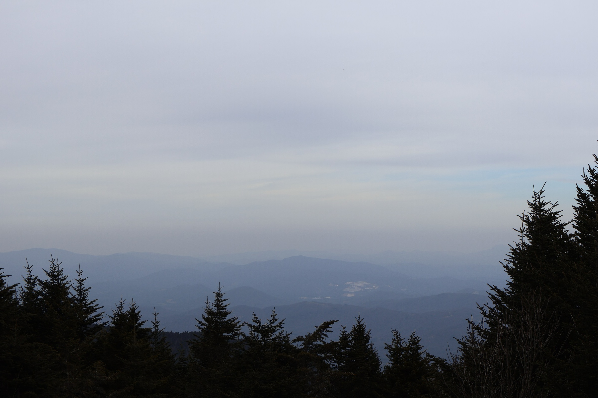 Crêtes du Blue Ridge vues depuis Mount Mitchell State Park