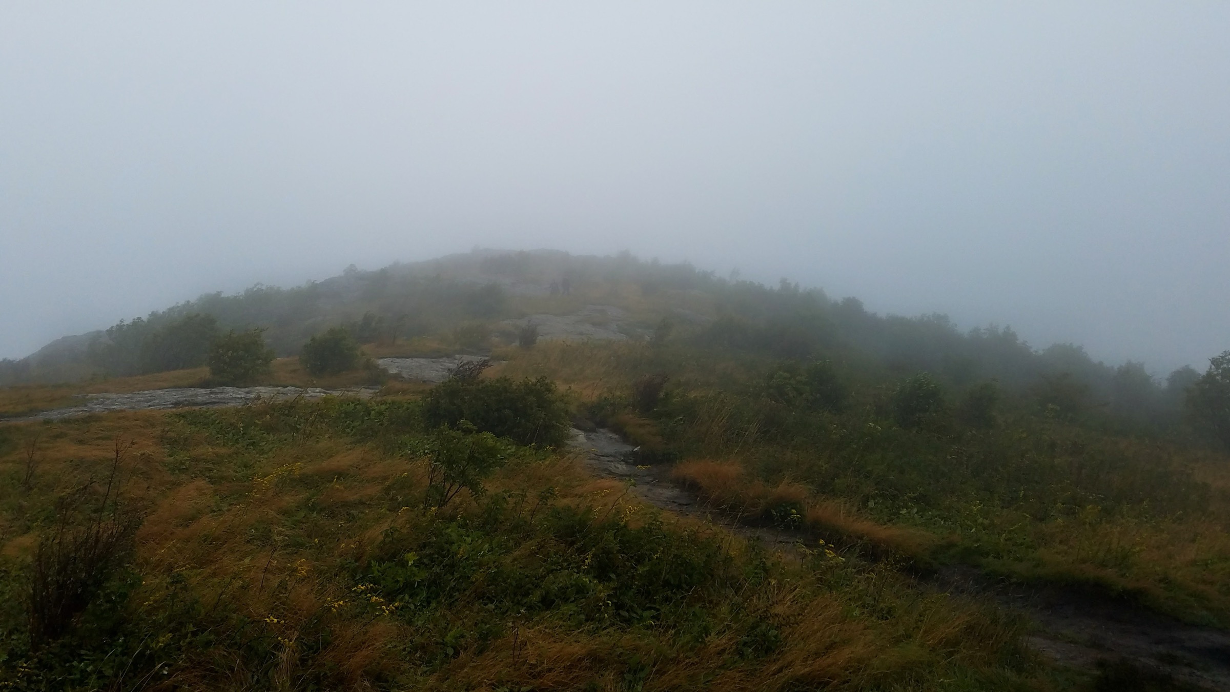 Black Balsam Knob in autumn, an open grassy bald above the Great Balsam Mountains