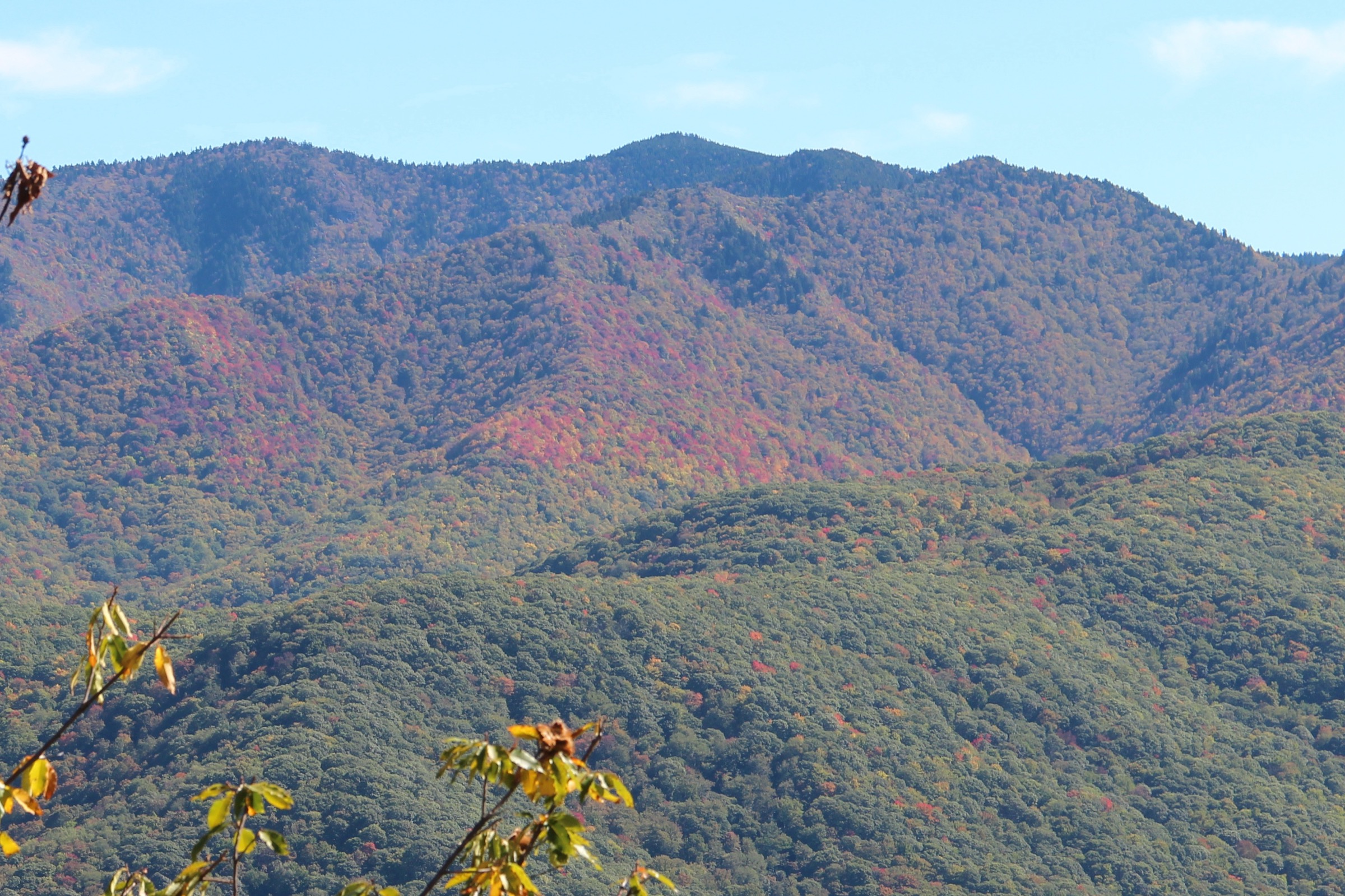 Richland Balsam seen from the Steestachee Bald Overlook on the Blue Ridge Parkway