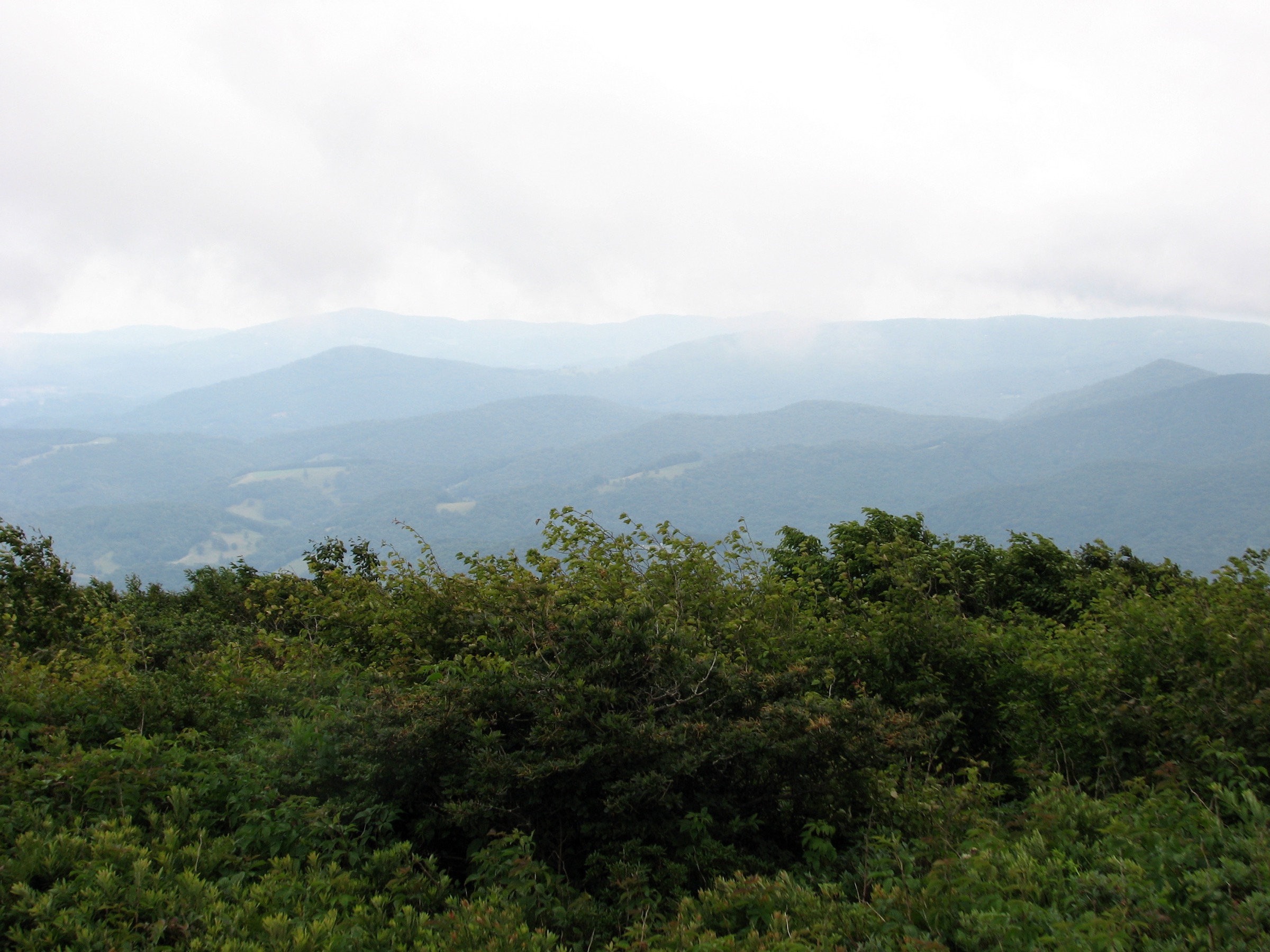 View from the summit of Elk Knob State Park, North Carolina