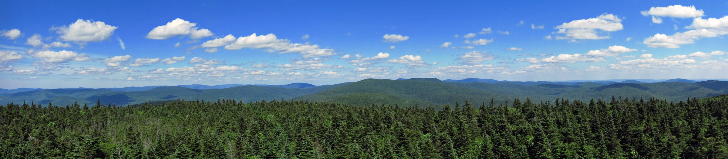 Panorama from the Balsam Lake Mountain fire tower looking across the western Catskills