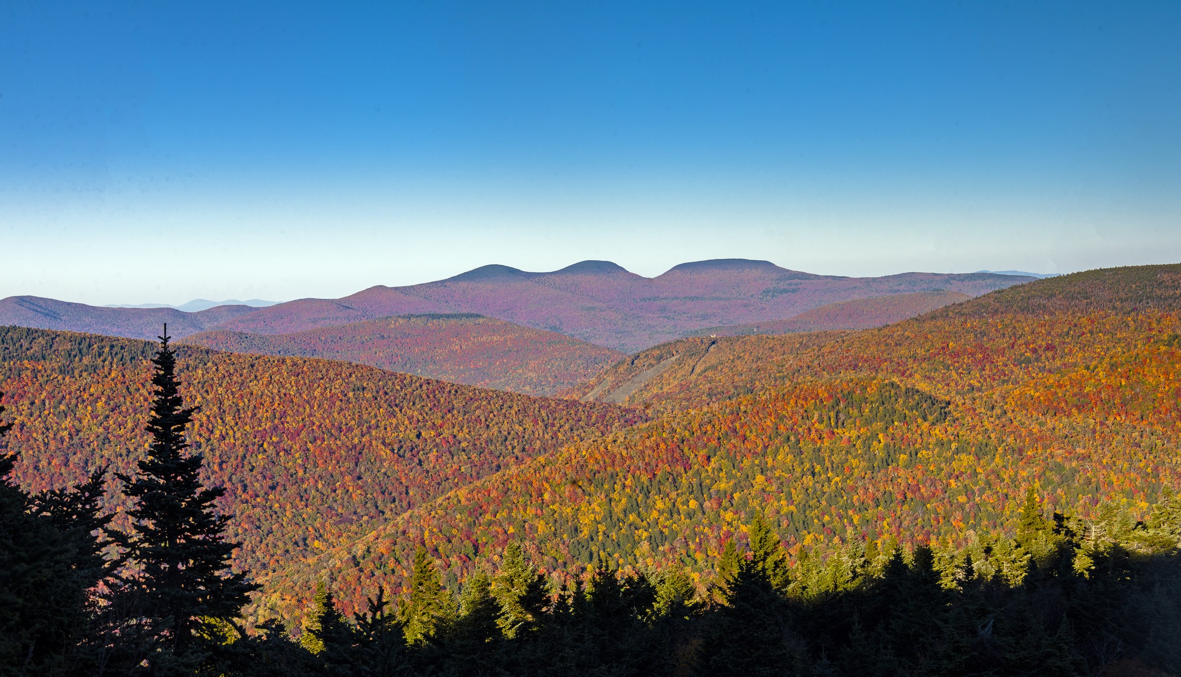 Rusk Mountain vu depuis Buck Ridge Lookout sur West Kill Mountain, encadré par des sapins baumiers