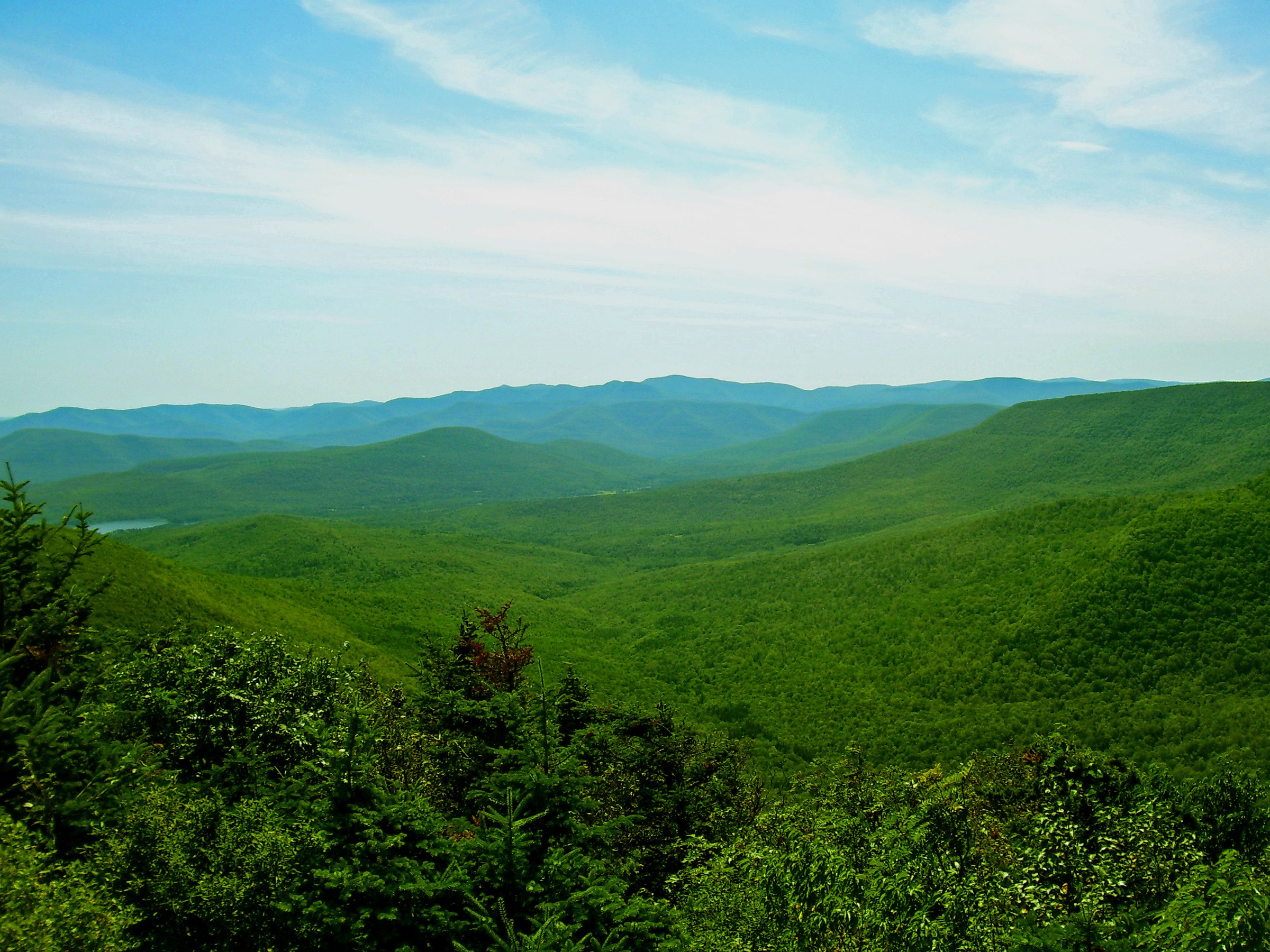 Panorama des Catskills centraux depuis le sommet sud de Twin Mountain