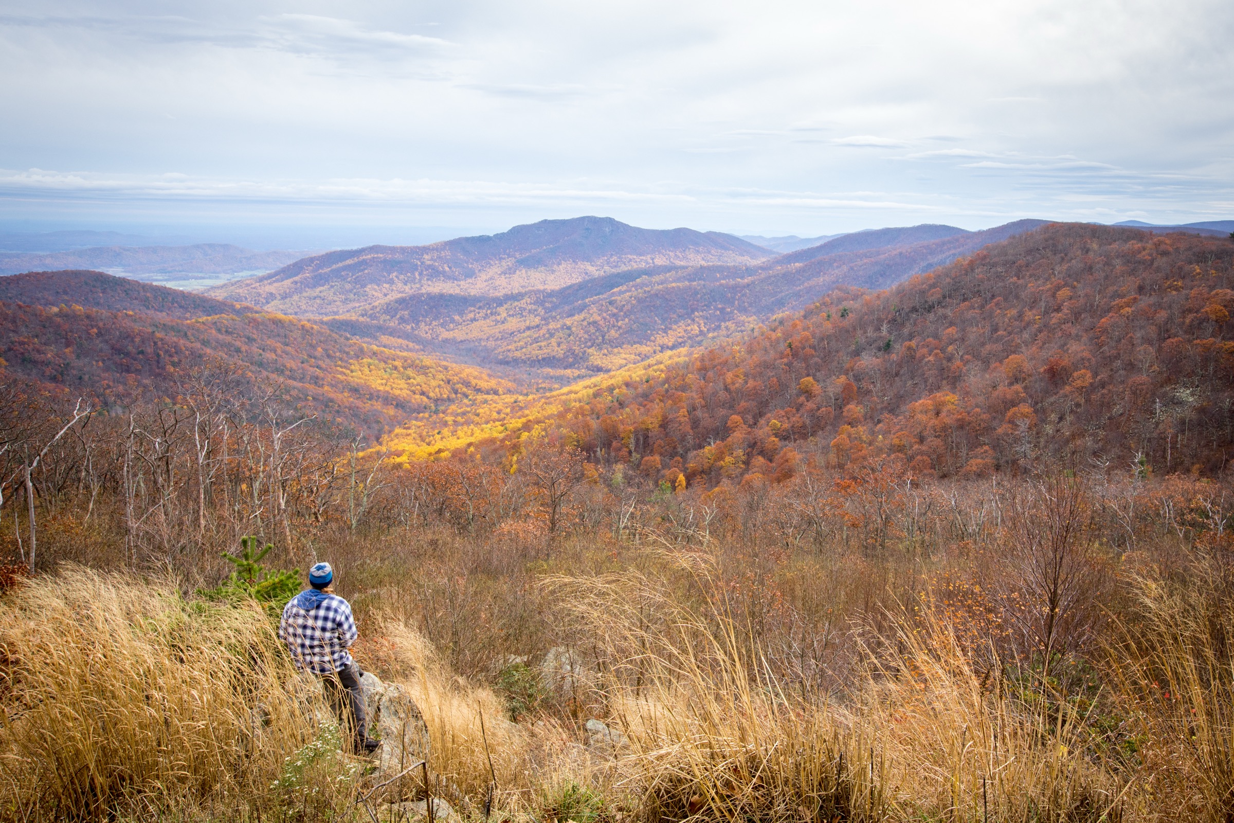 USA — Shenandoah and the northern Blue Ridge: essential day-hikes
