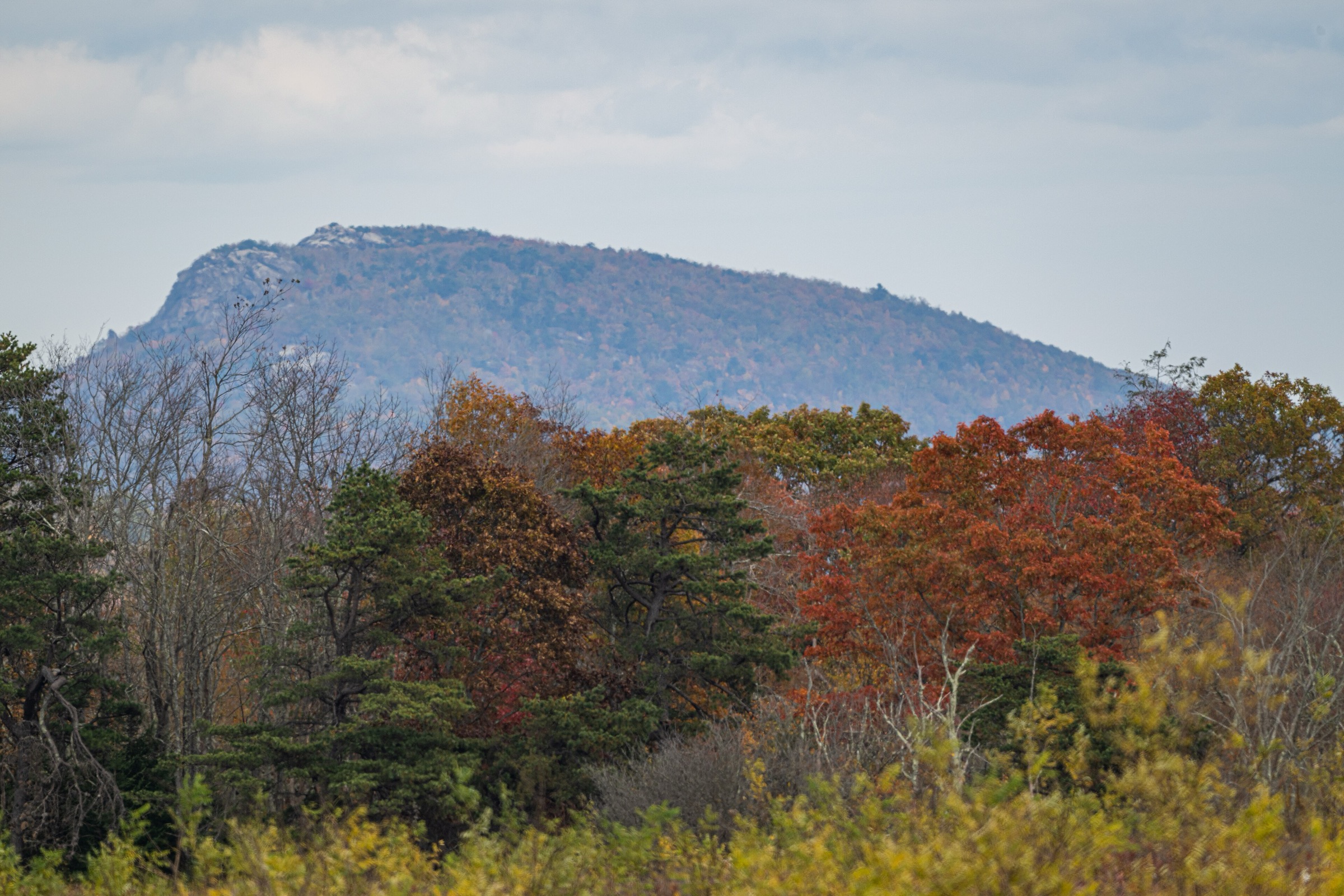 Le sommet granitique d'Old Rag Mountain dans le Shenandoah National Park