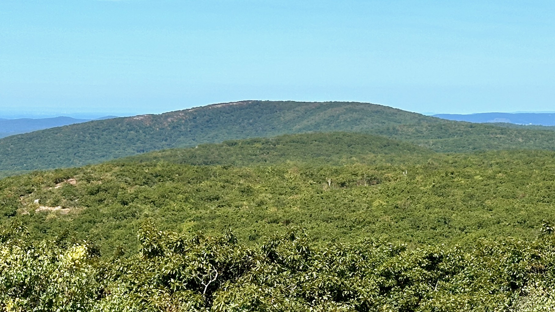Alander Mountain seen from Brace Mountain, New York