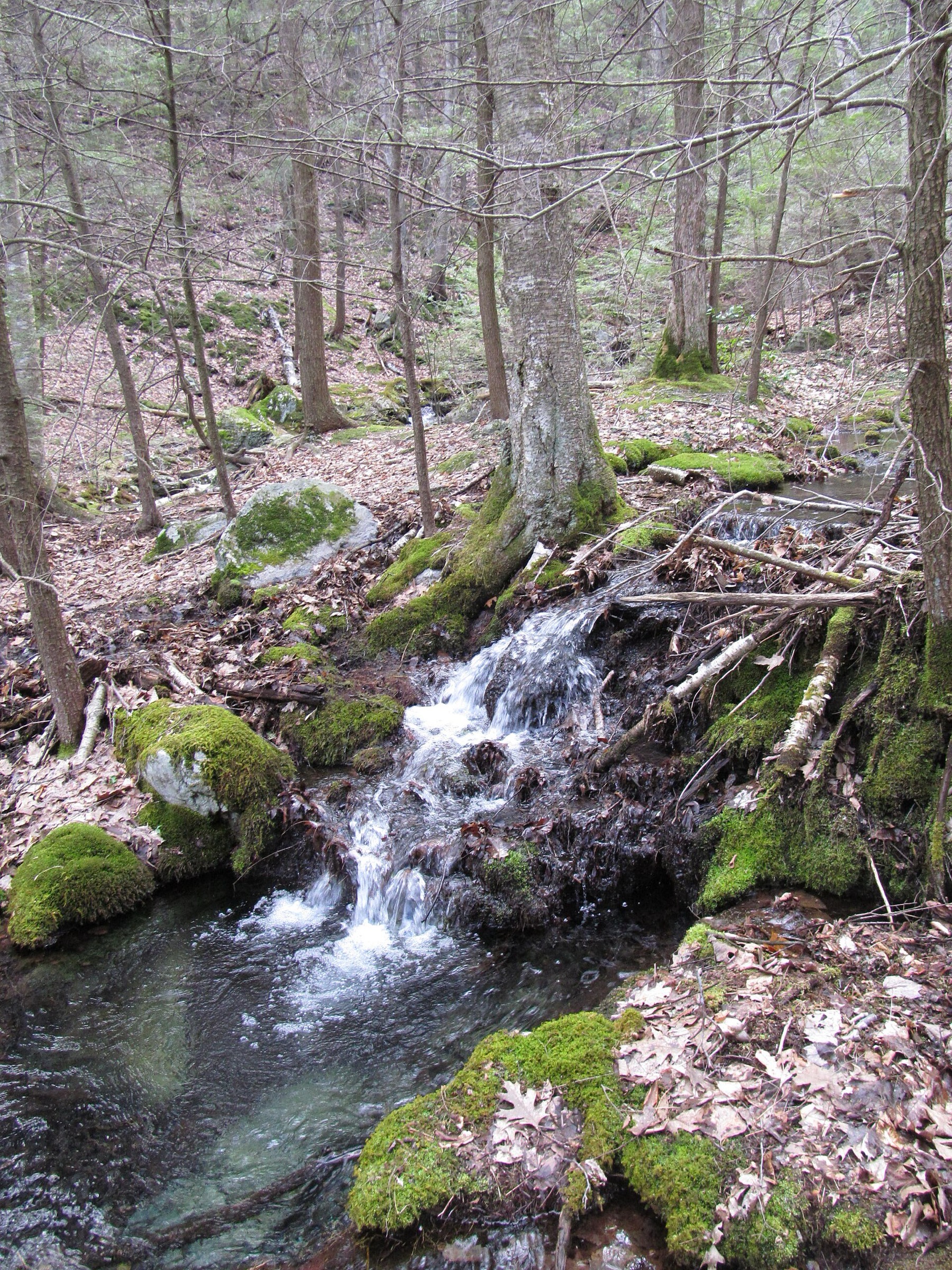 Race Brook Falls on the Race Brook Falls Trail
