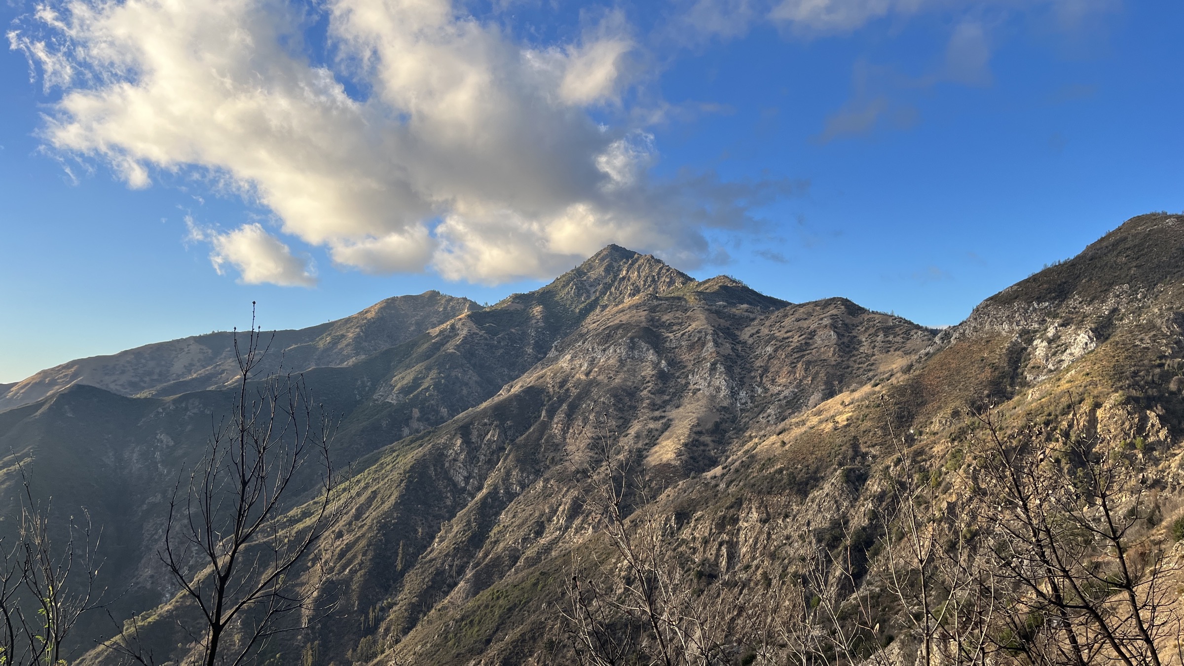 Cone Peak seen from the Vicente Flat Trail on the west side of the Santa Lucia Range