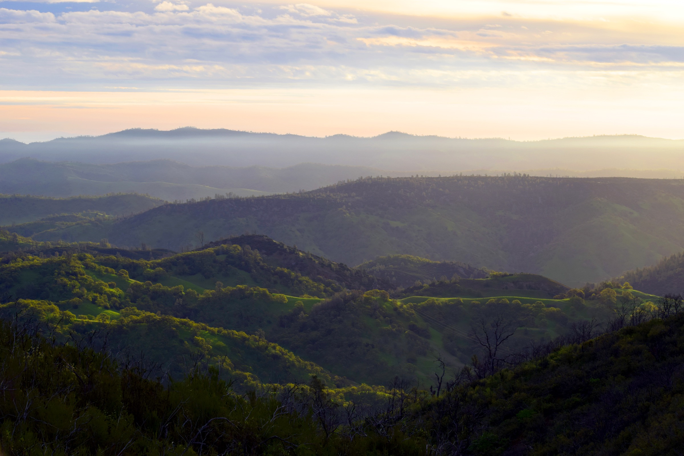 Evening light on the ridges of Berryessa Snow Mountain National Monument in the Inner Coast Range