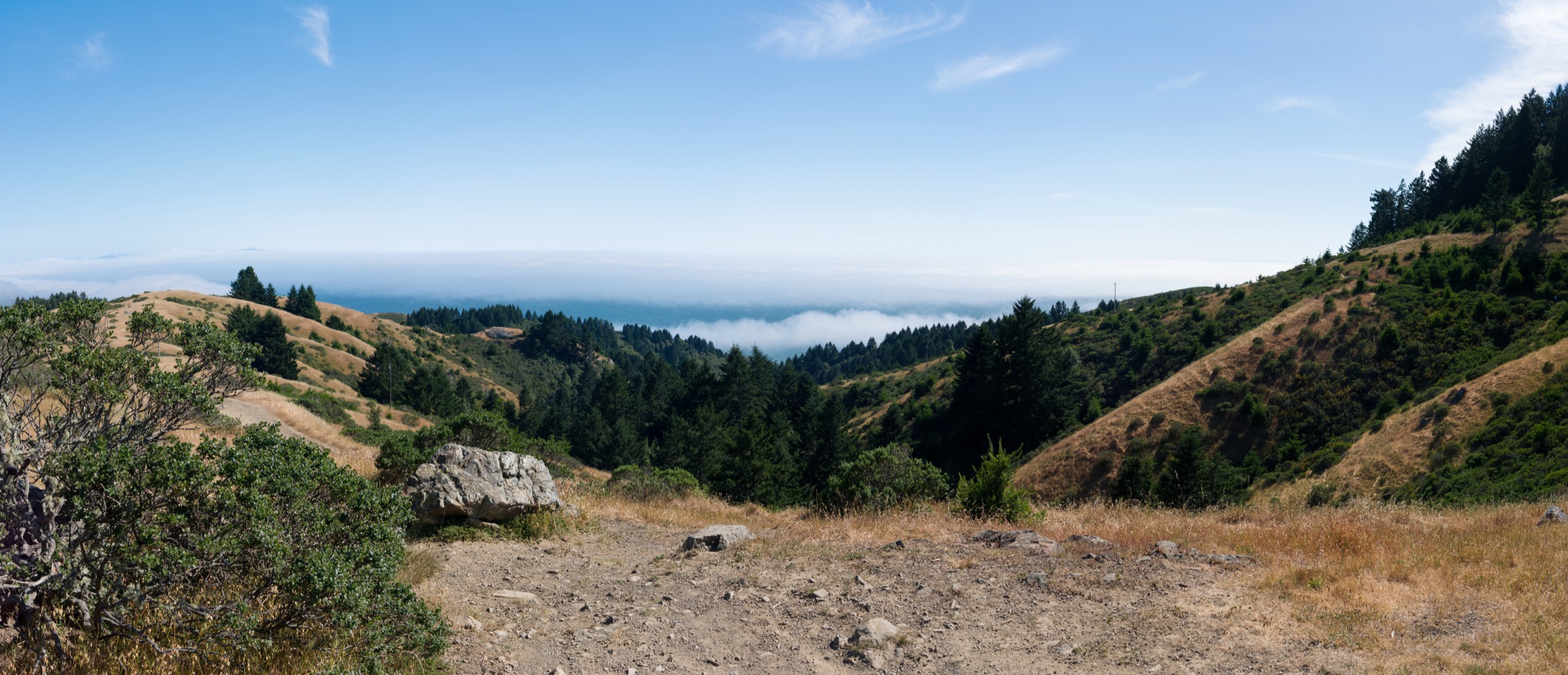 Panorama from Cardiac Hill on the Dipsea Trail in Mount Tamalpais State Park, California