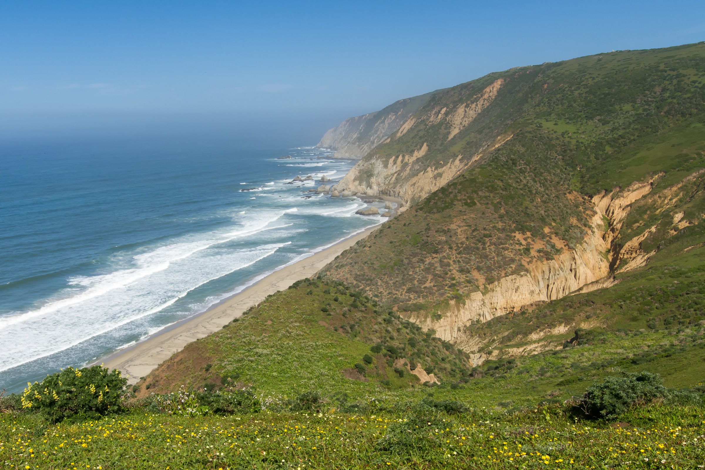 Coastal bluffs and beach along the Tomales Point Trail, Point Reyes National Seashore