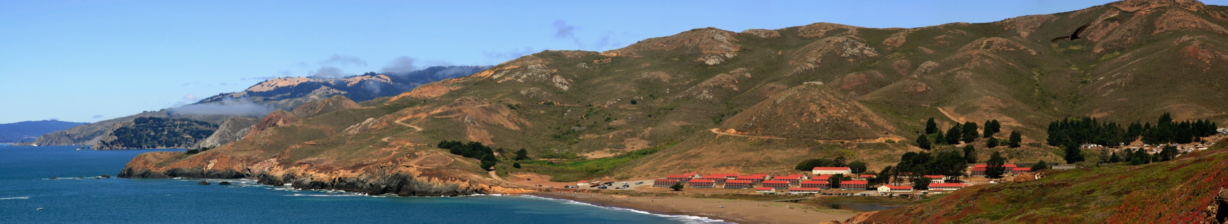 Marin Headlands coastal cliffs and Rodeo Beach with a turkey vulture in flight