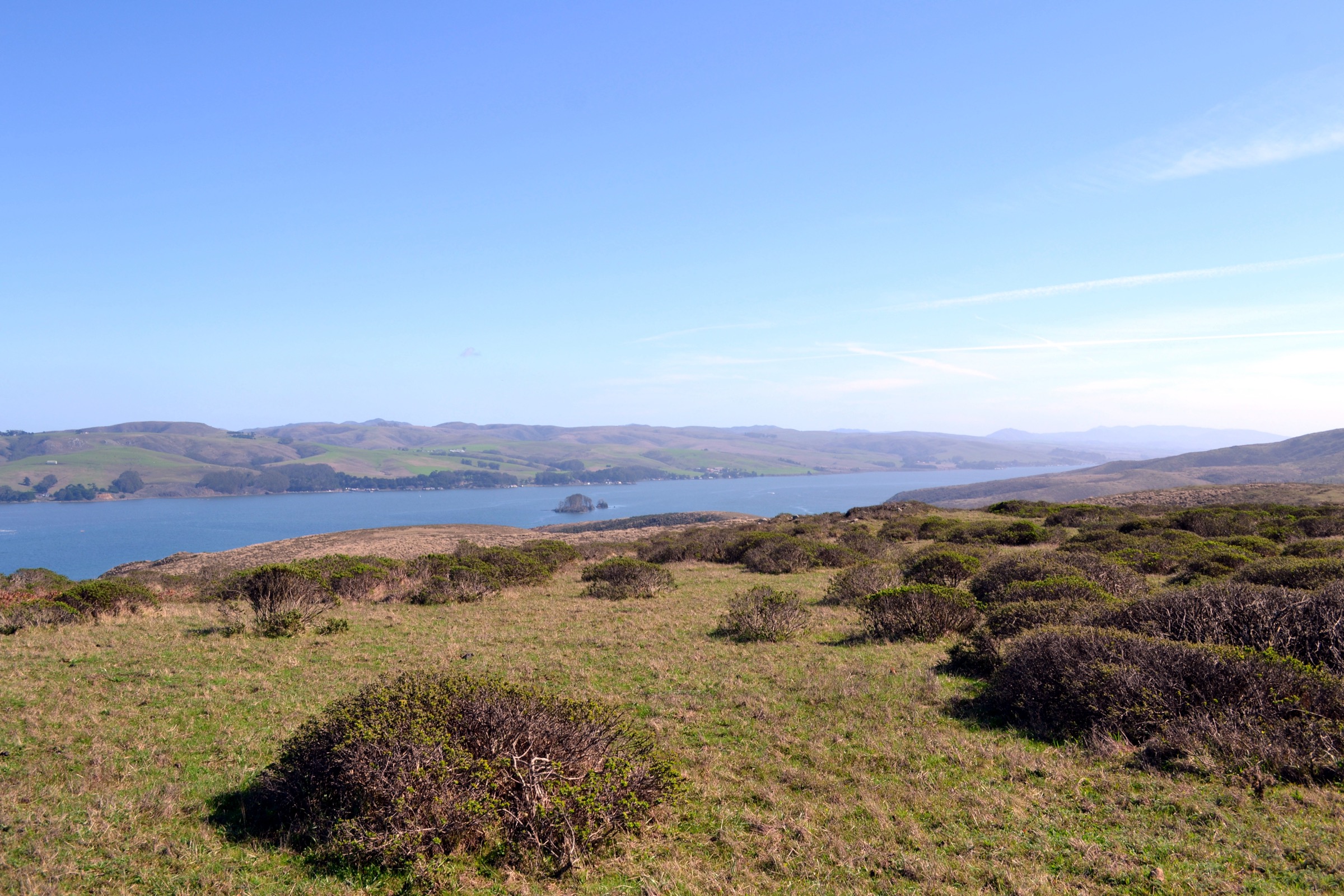 Tomales Bay viewed from the Tomales Point Trail, Point Reyes National Seashore