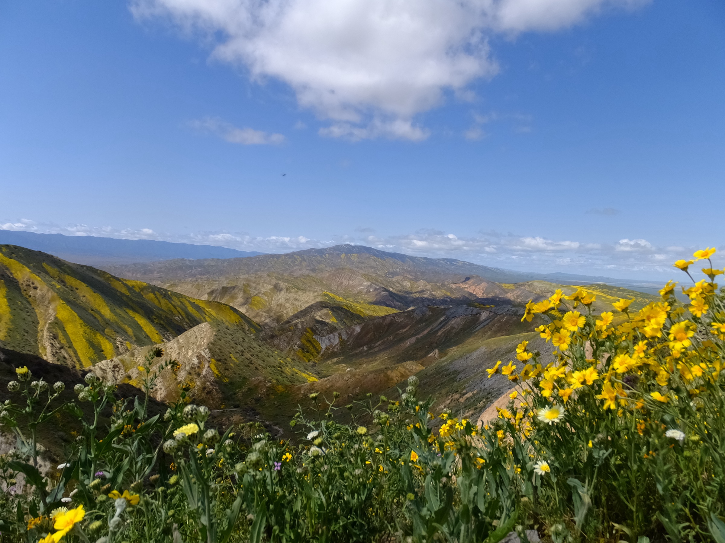 Caliente Mountains rising above the Carrizo Plain, San Luis Obispo County, California